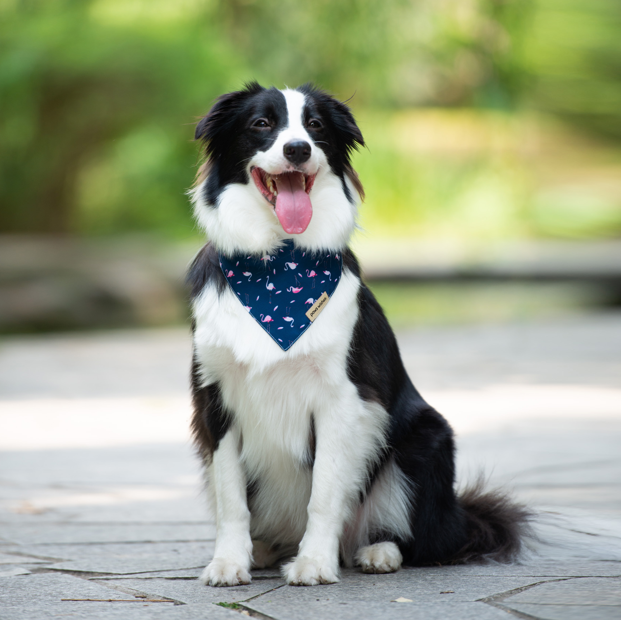 Dog Bandanas