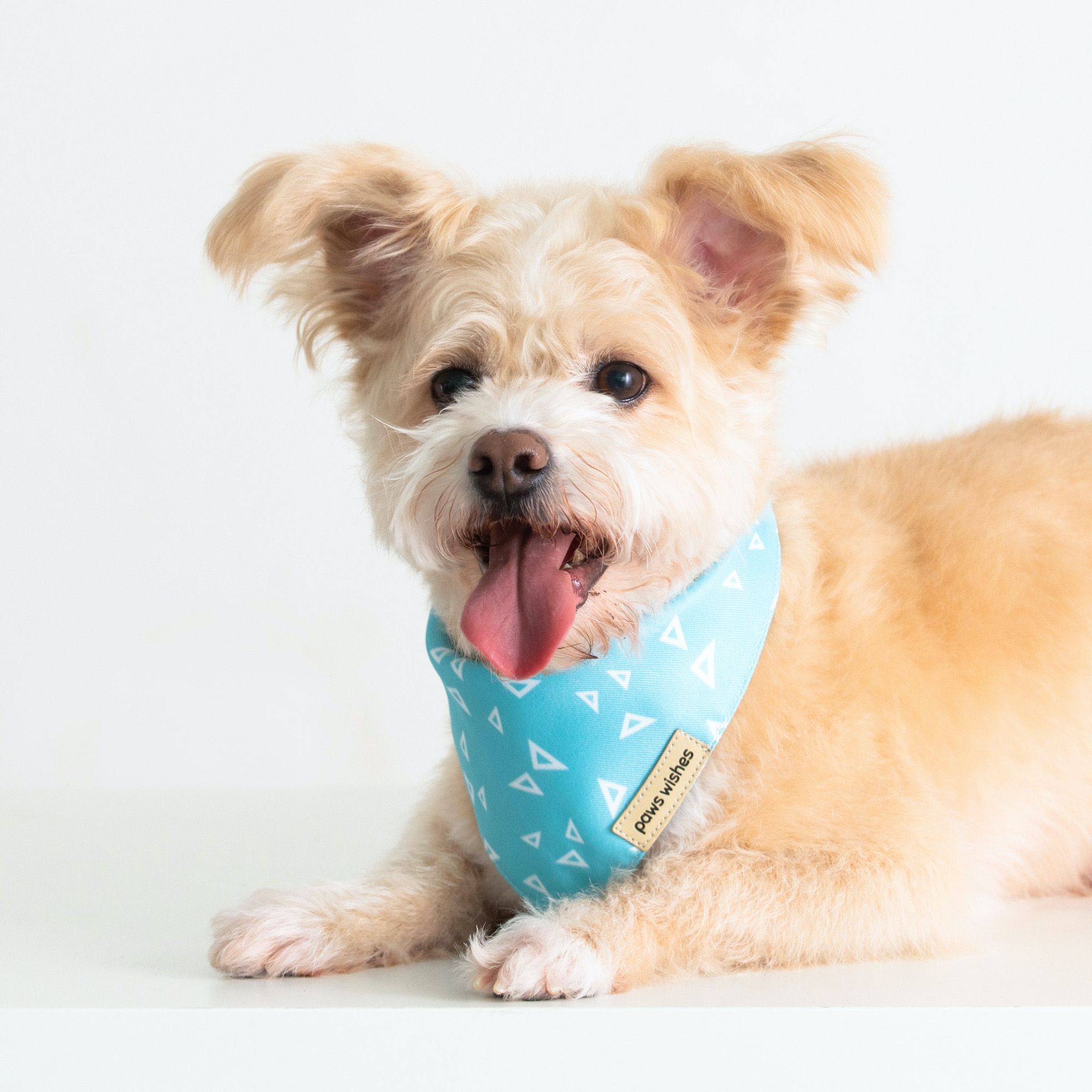 Dog Bandana Ice Blue