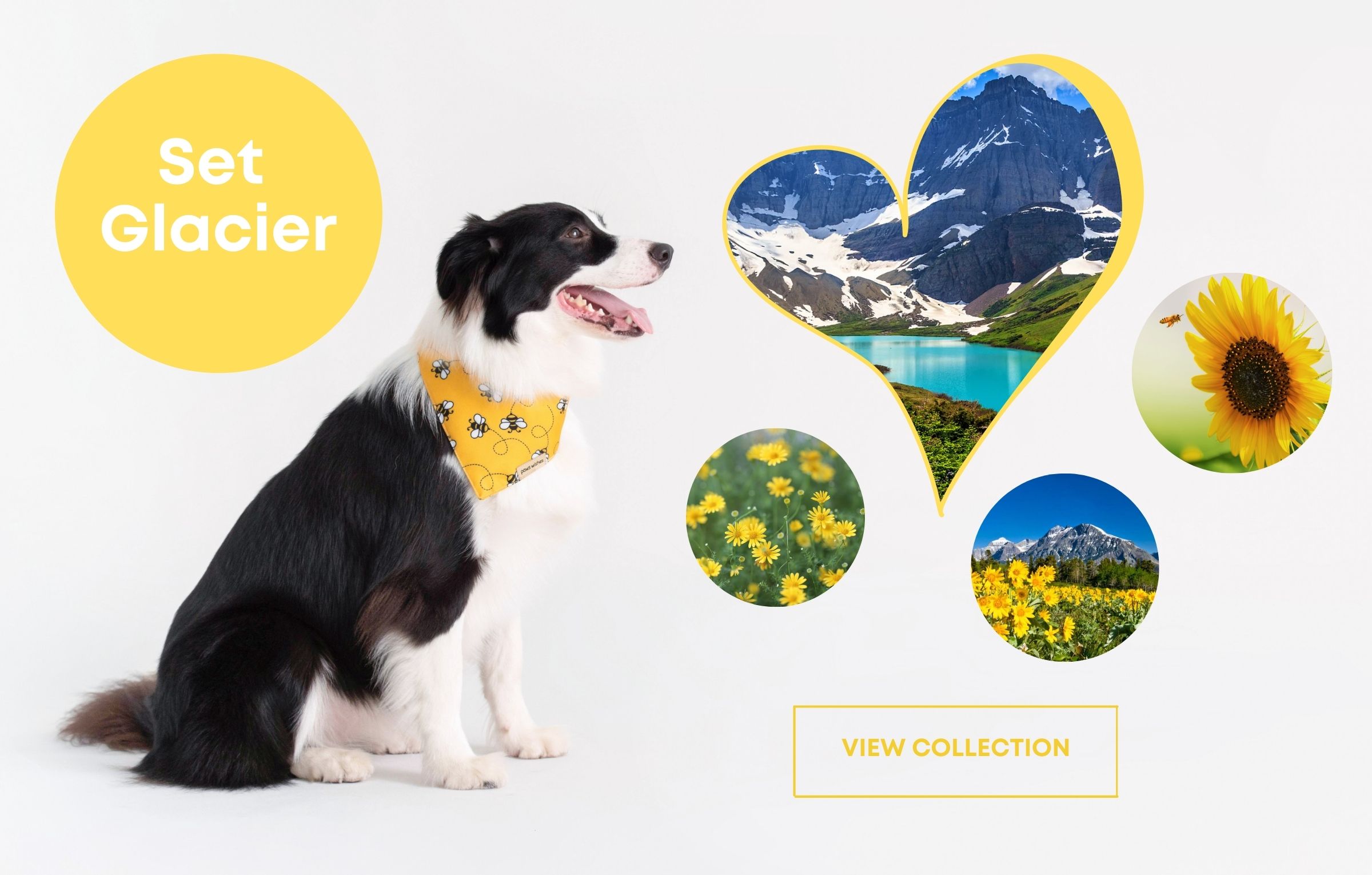 Dog Bandana Yellow Sunflower