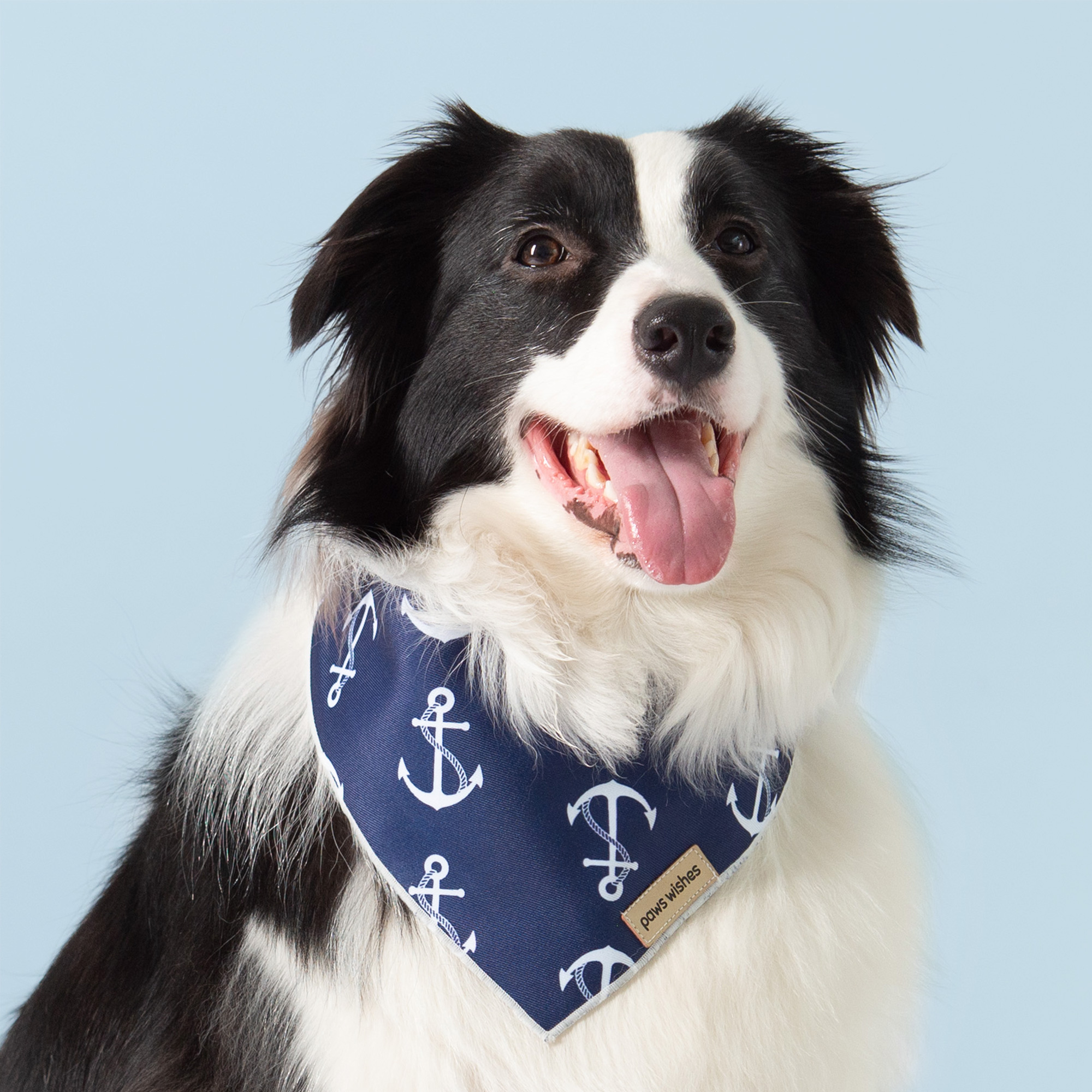 Dog Bandana Anchor