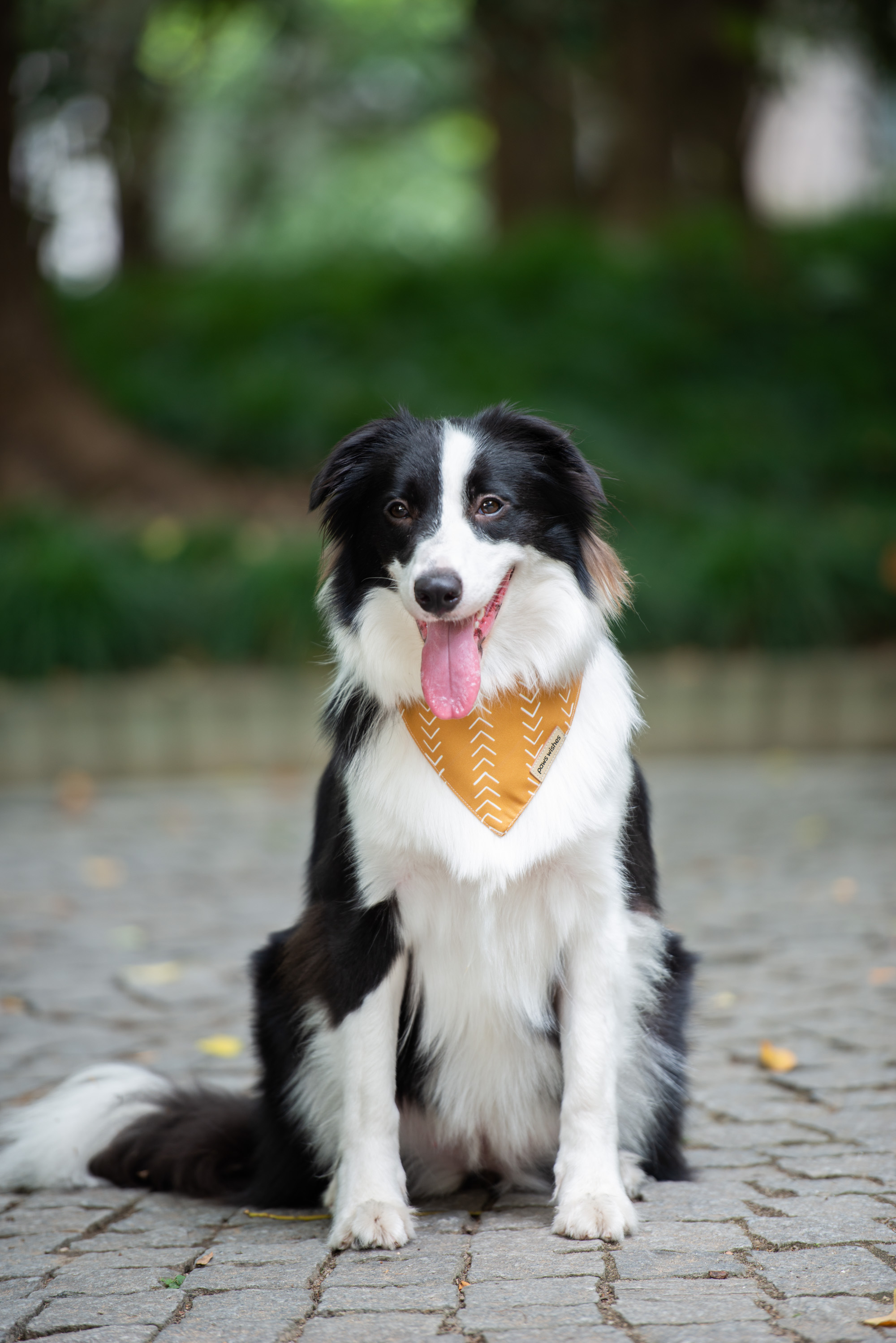 Dog Bandana Earth Mudcloth