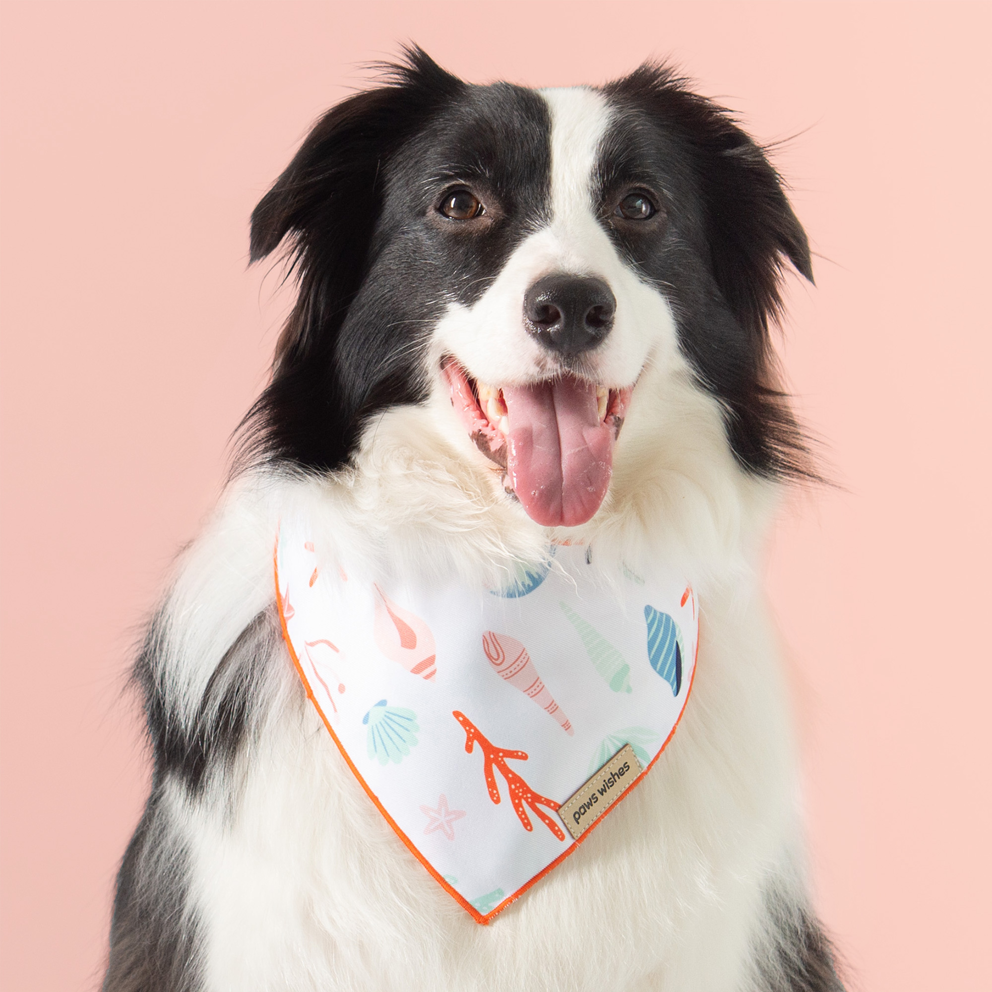 Dog Bandana Beach Market