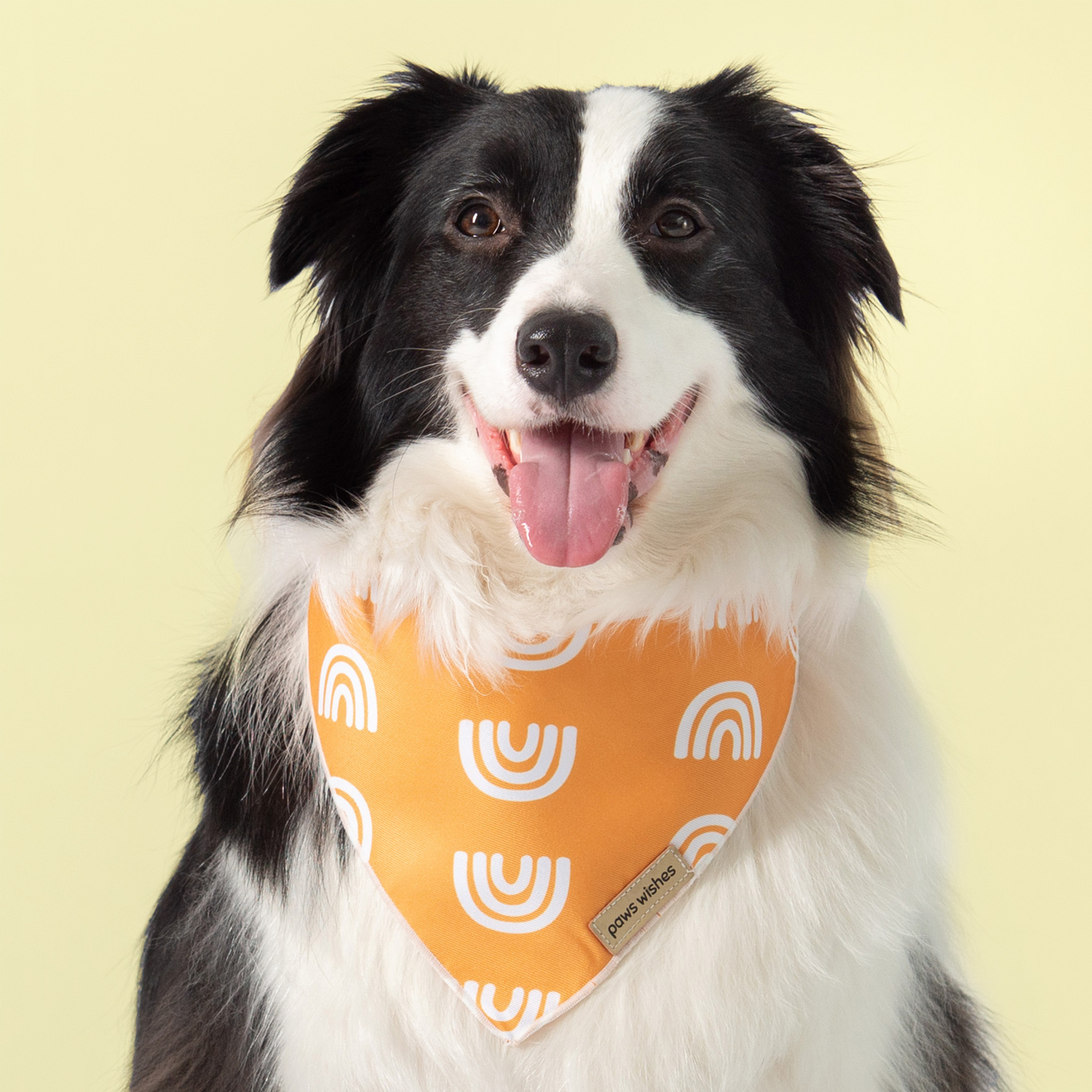 Dog Bandana African Mudcloth Rainbow