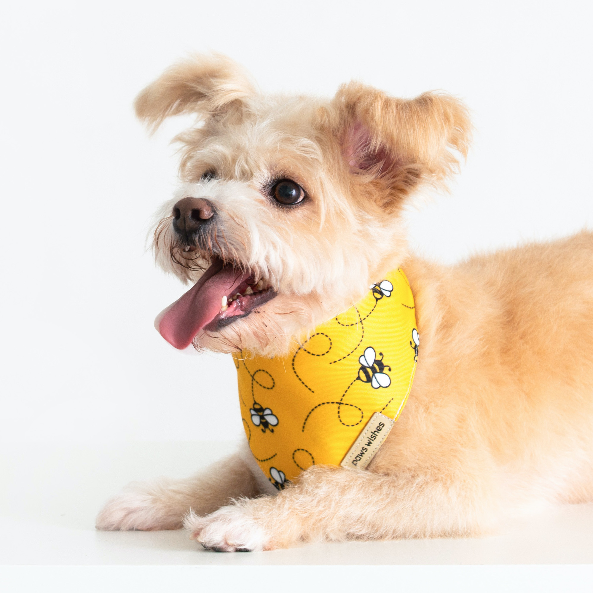 Dog Bandana Honey Bee