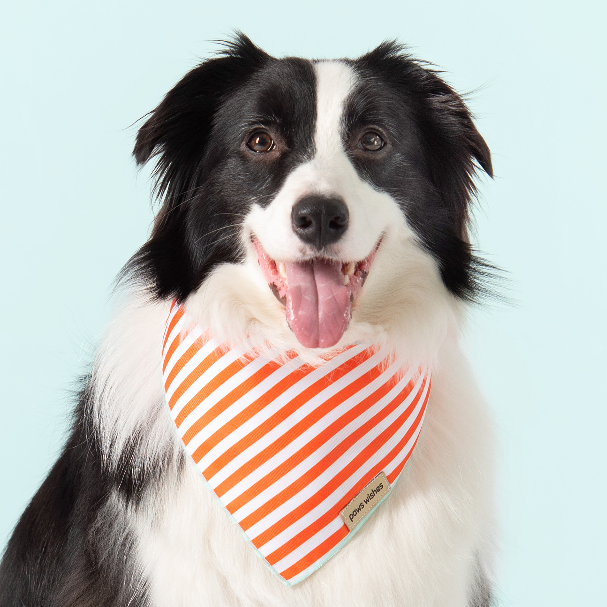 Dog Bandana Coral Stripes