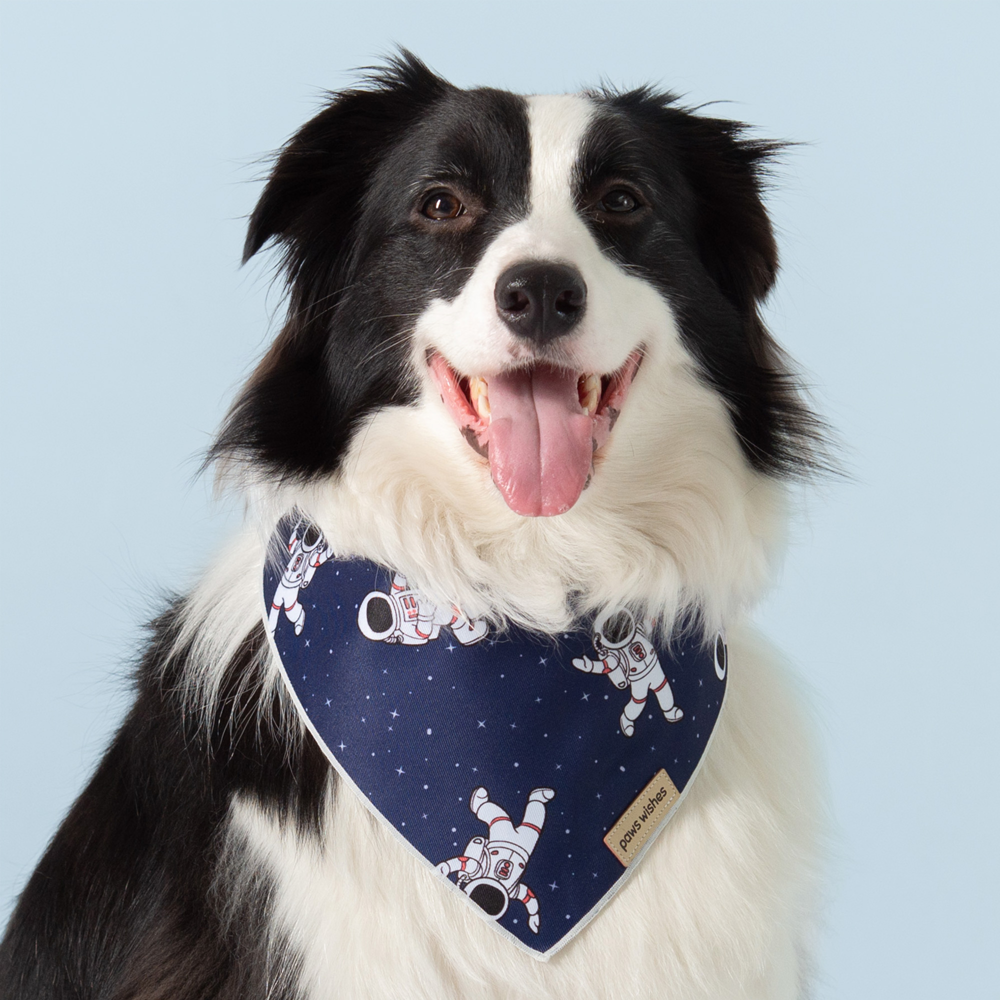 Dog Bandana Spaceman