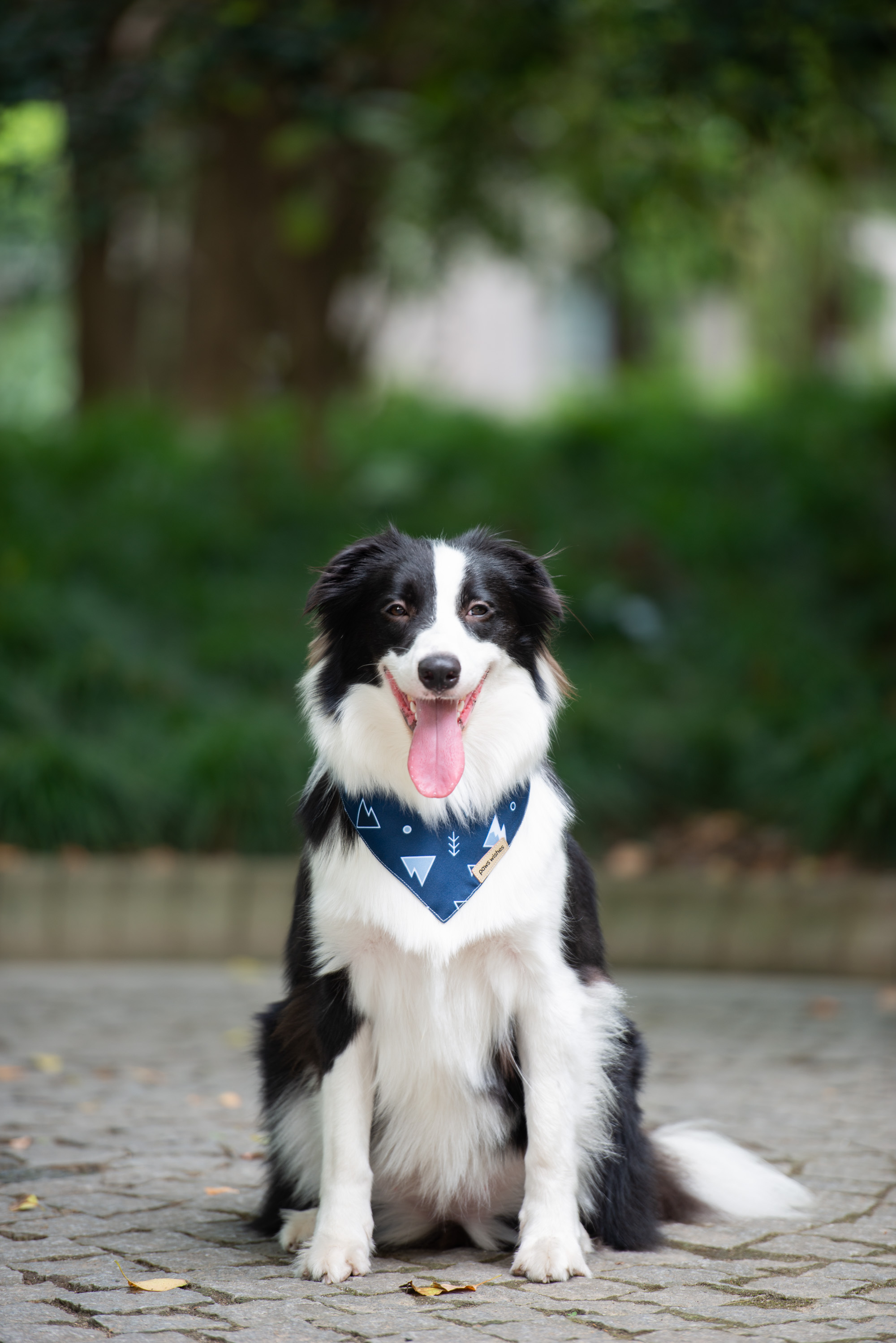 Dog Bandana Snow Mountain