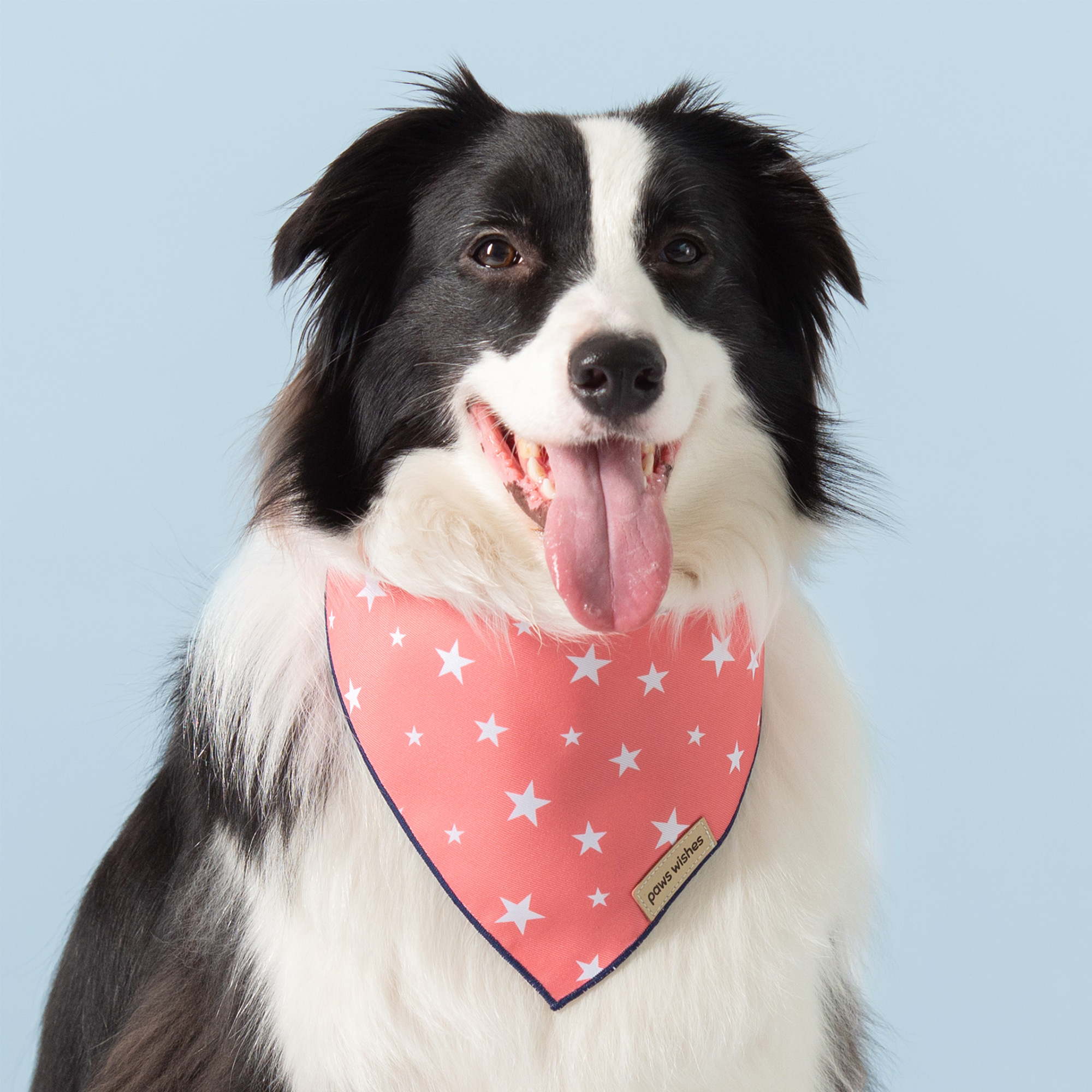 Dog Bandana Star in Red Solid