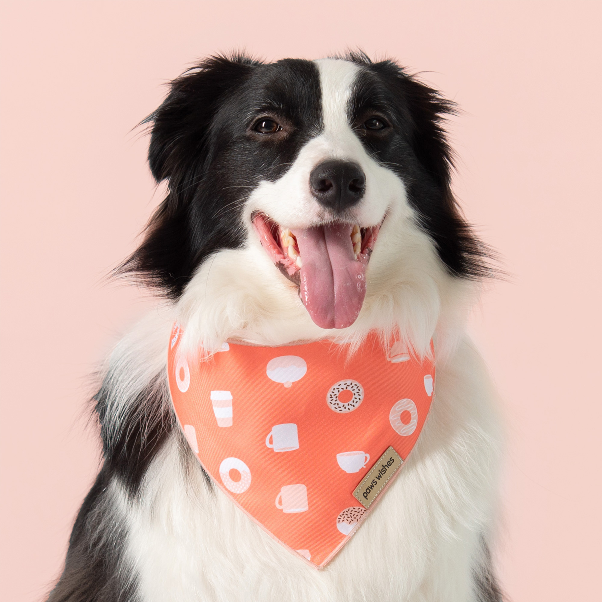 Dog Bandana Drink and Dessert