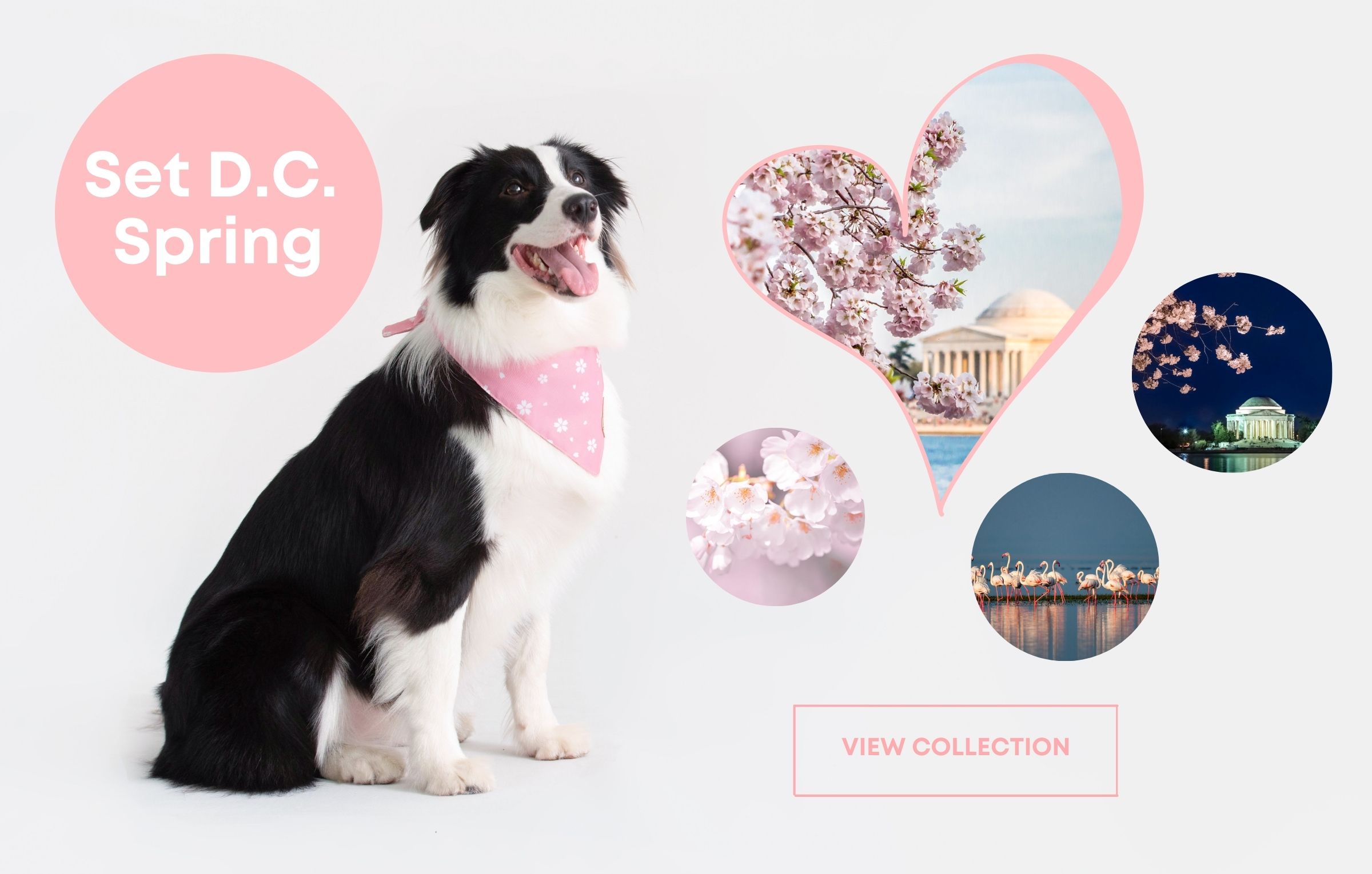 Dog Bandana Cherry Blossom