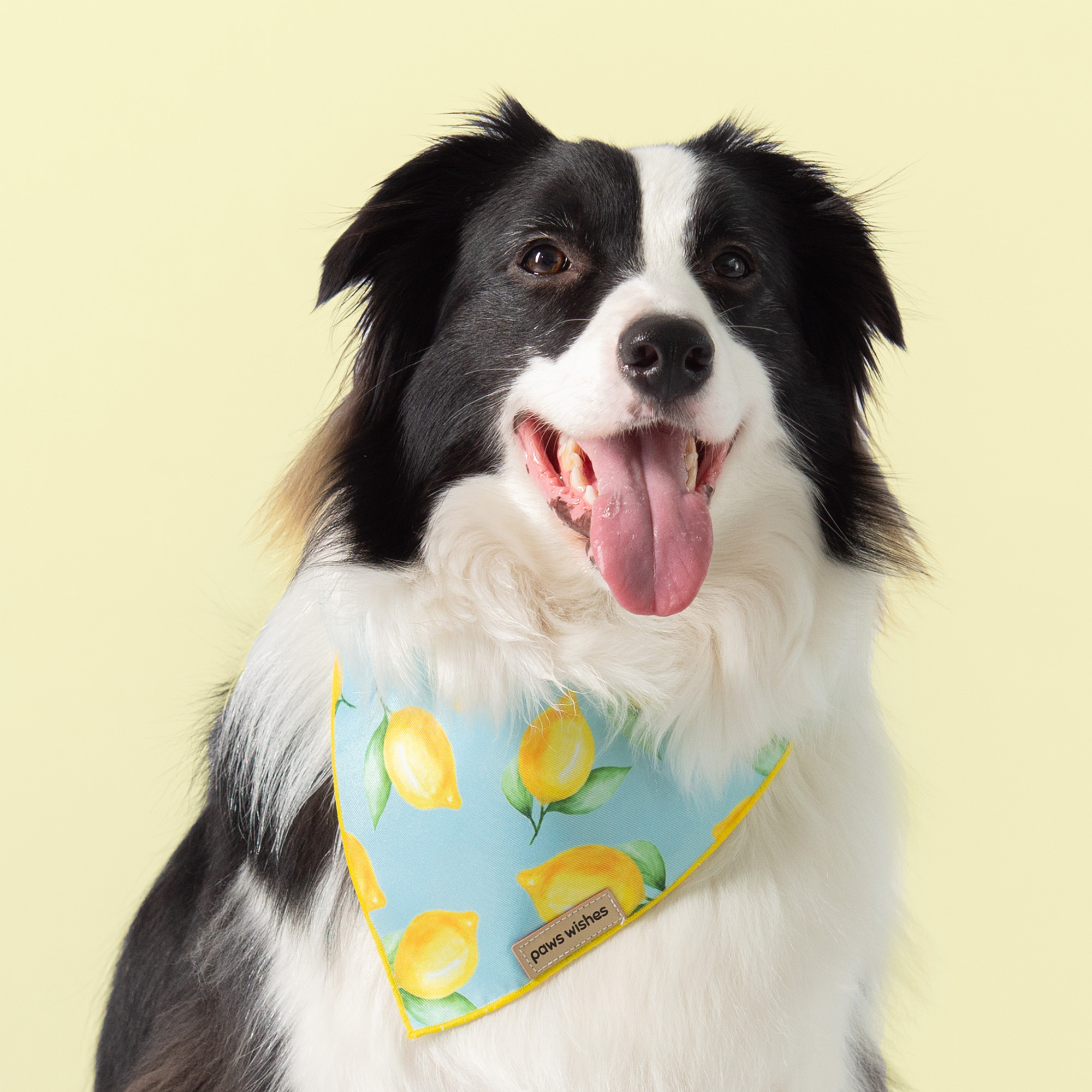 Dog Bandana Yellow Lemon Fruit