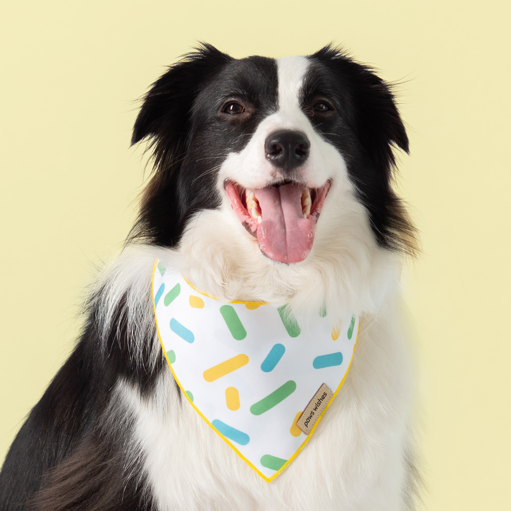 Dog Bandana Lemon Candy