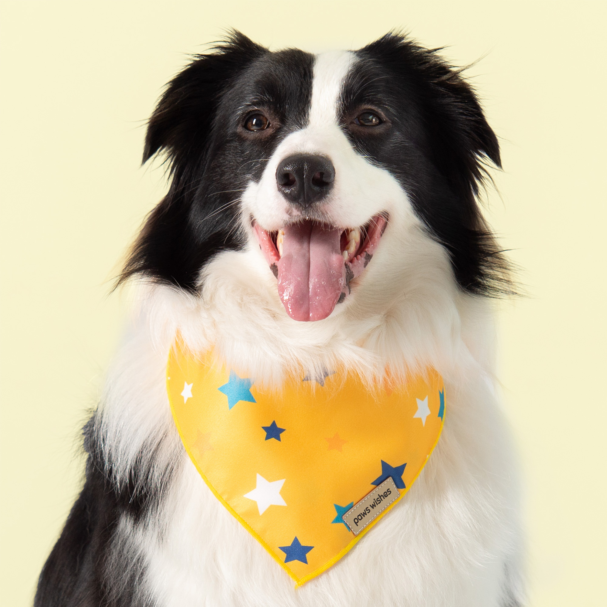 Dog Bandana Star