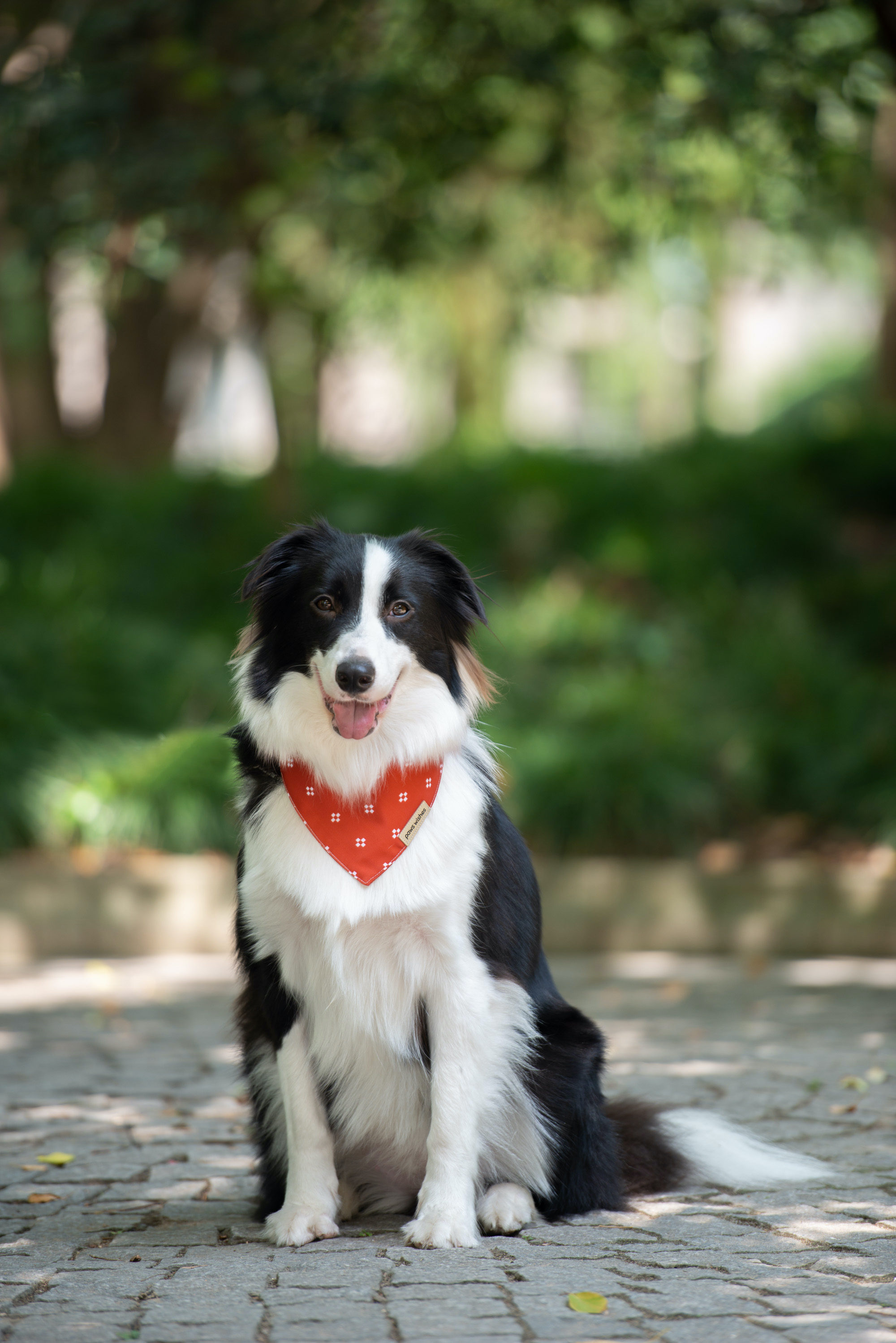 Dog Bandana Rust Red Rock