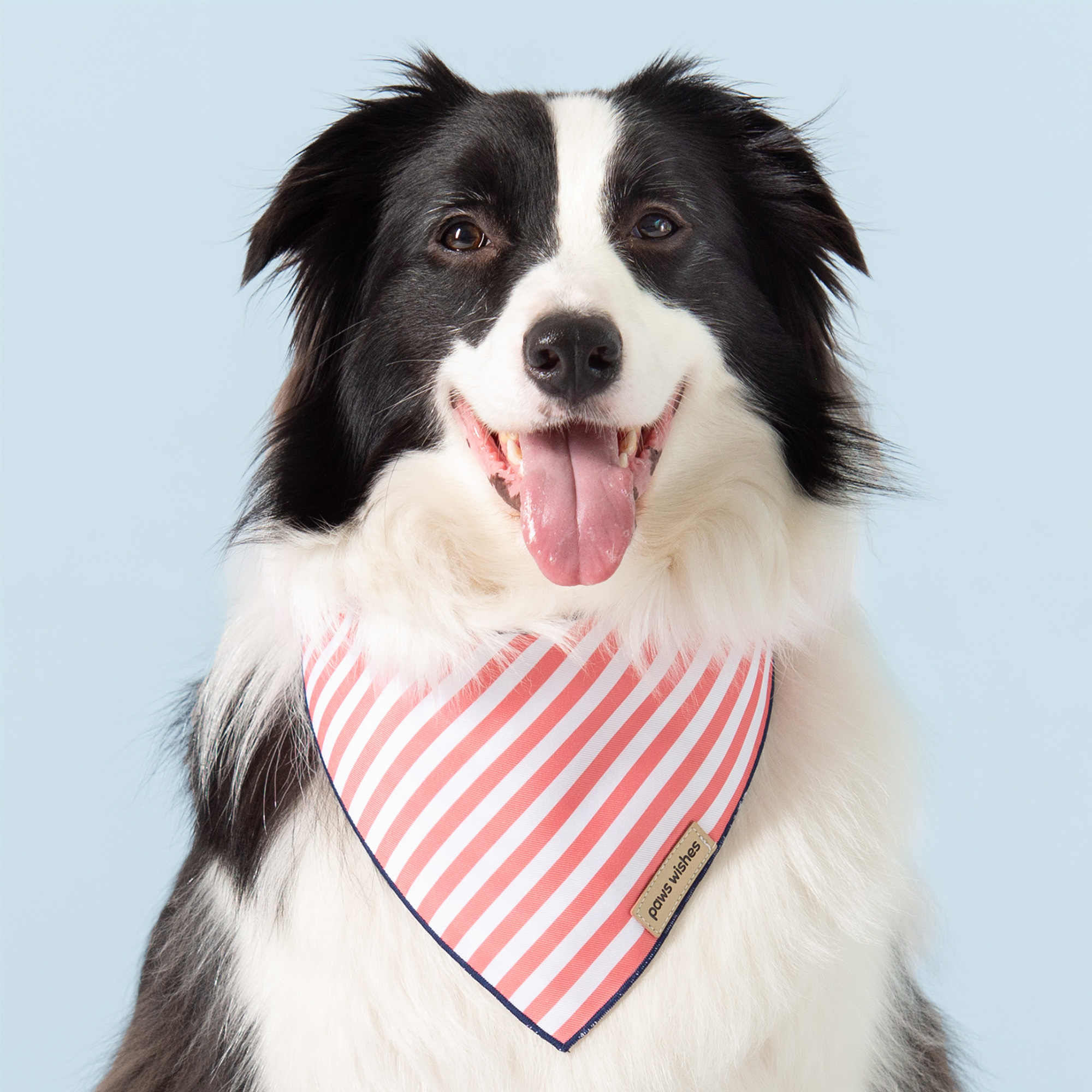 Dog Bandana Red Stripes