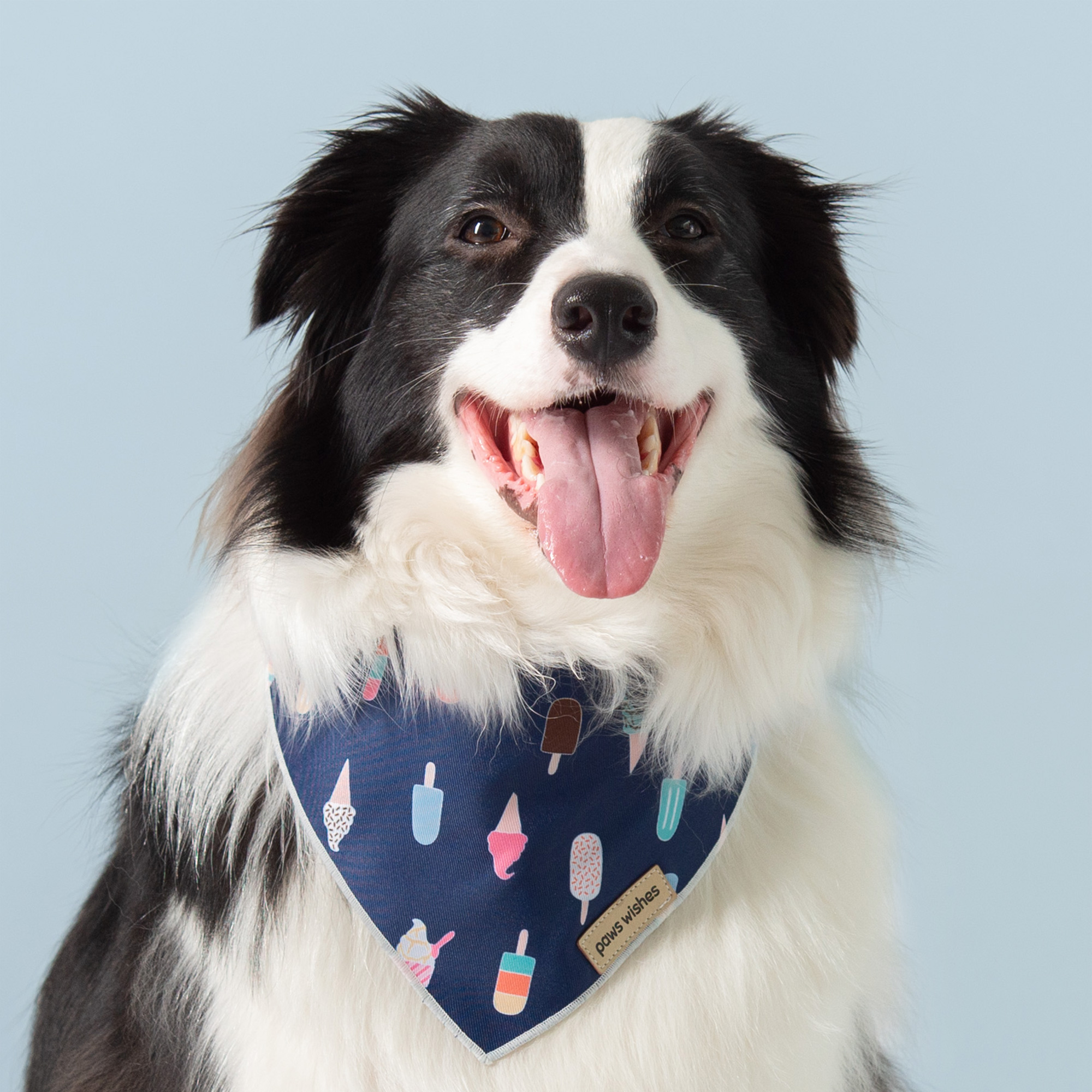 Dog Bandana Ice Cream