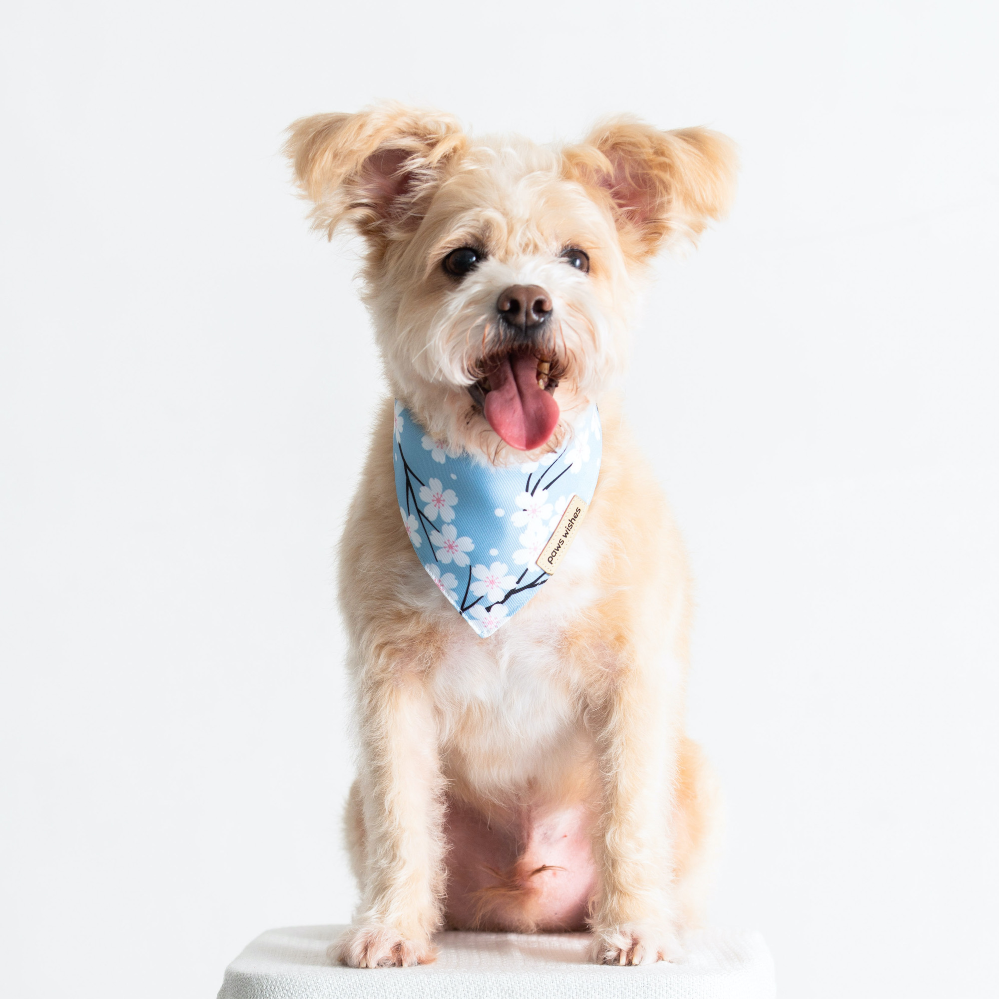 Dog Bandana Cherry Blossom