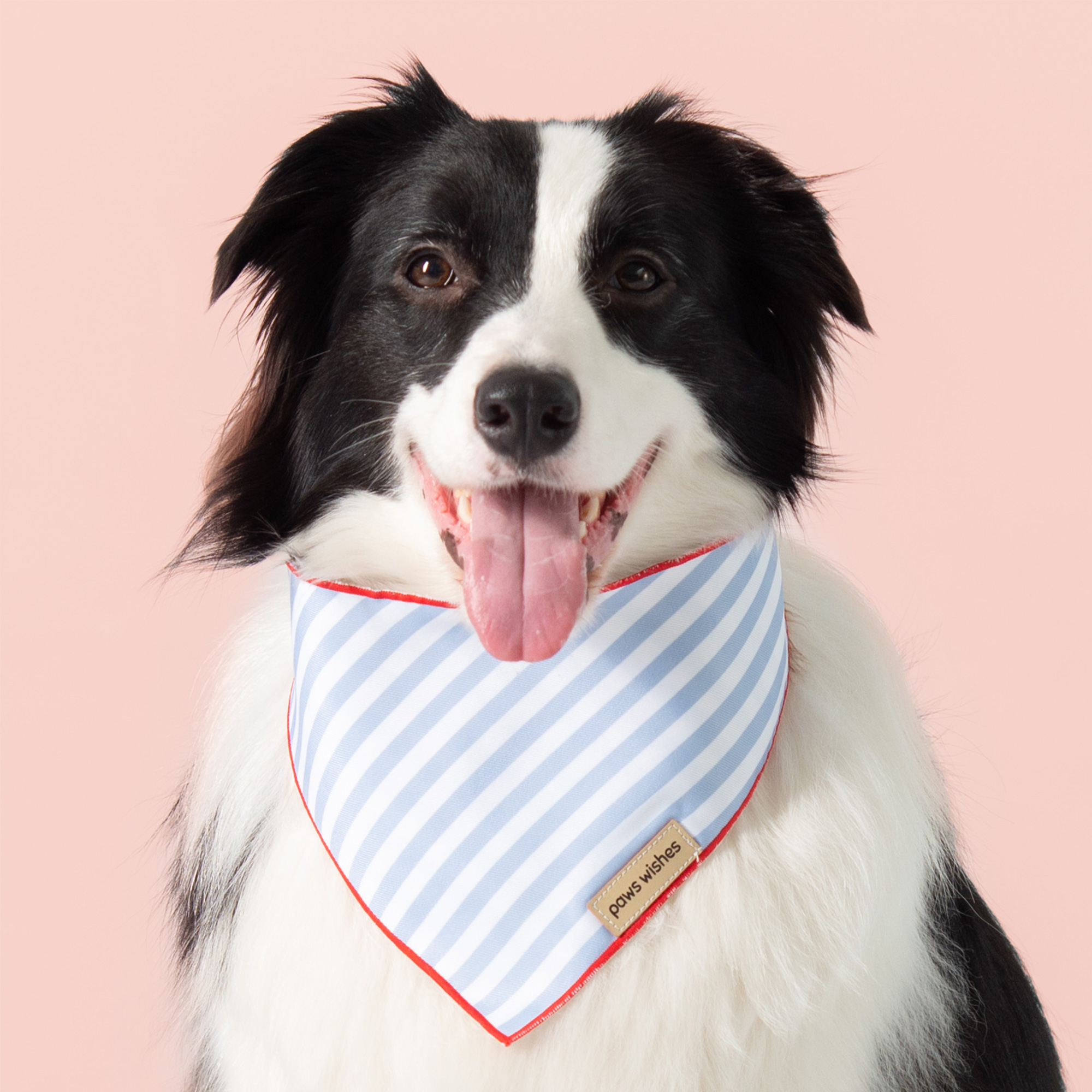Dog Bandana Blue Stripes