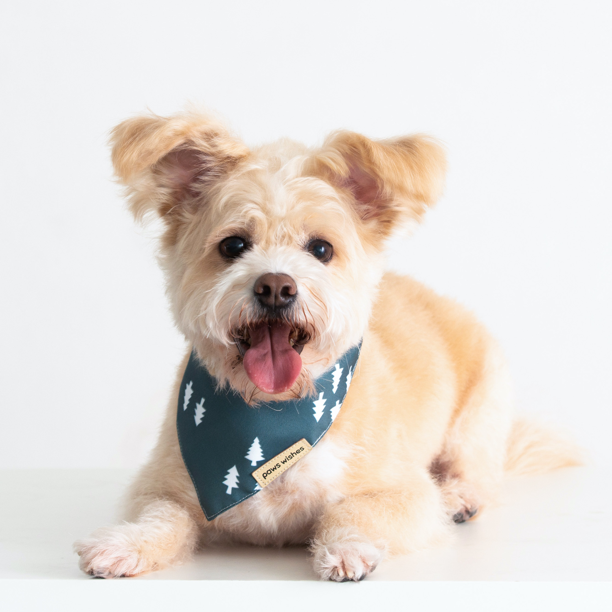 Dog Bandana Pine Tree