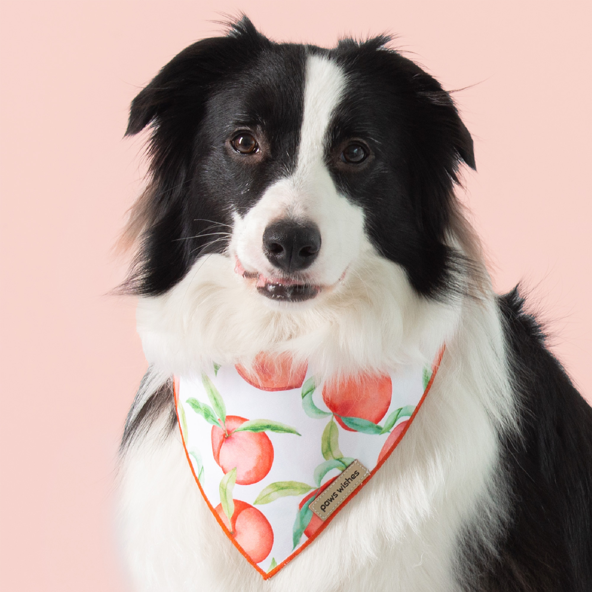 Dog Bandana Belle of Georgia