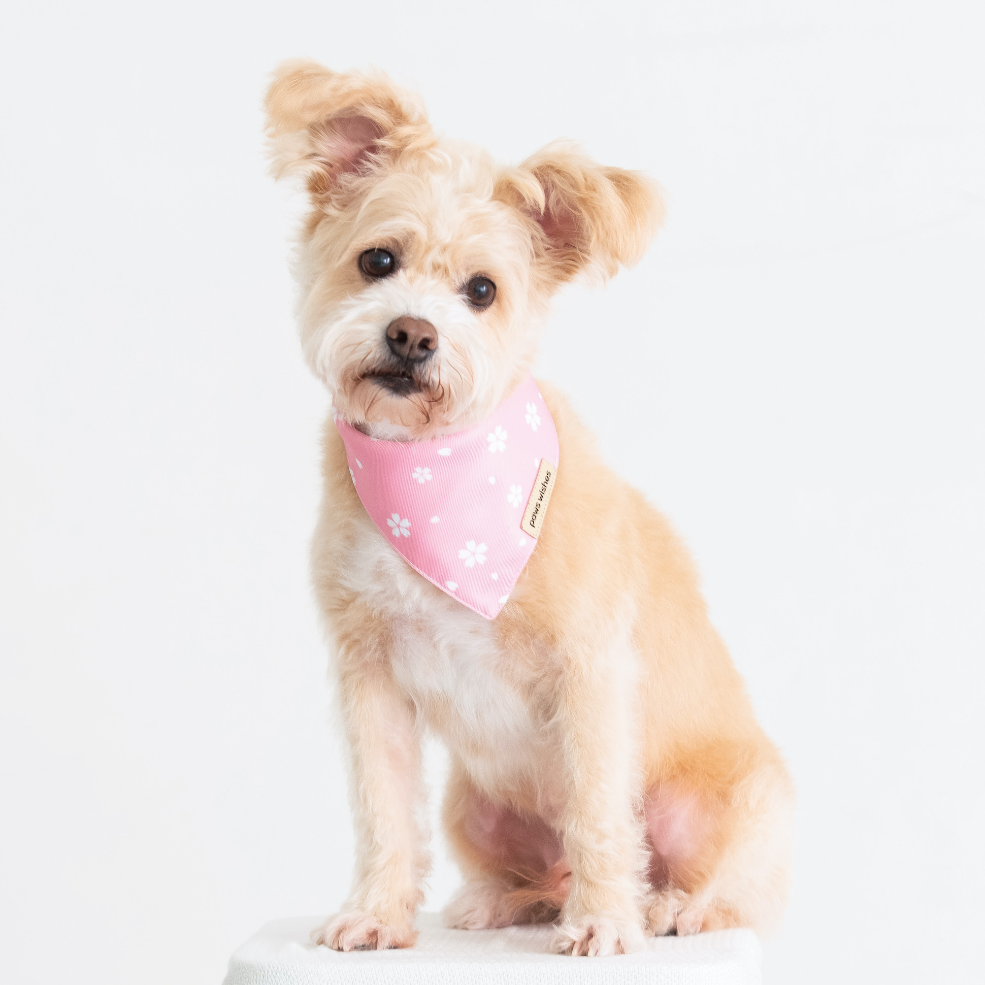 Dog Bandana Pink Sakura
