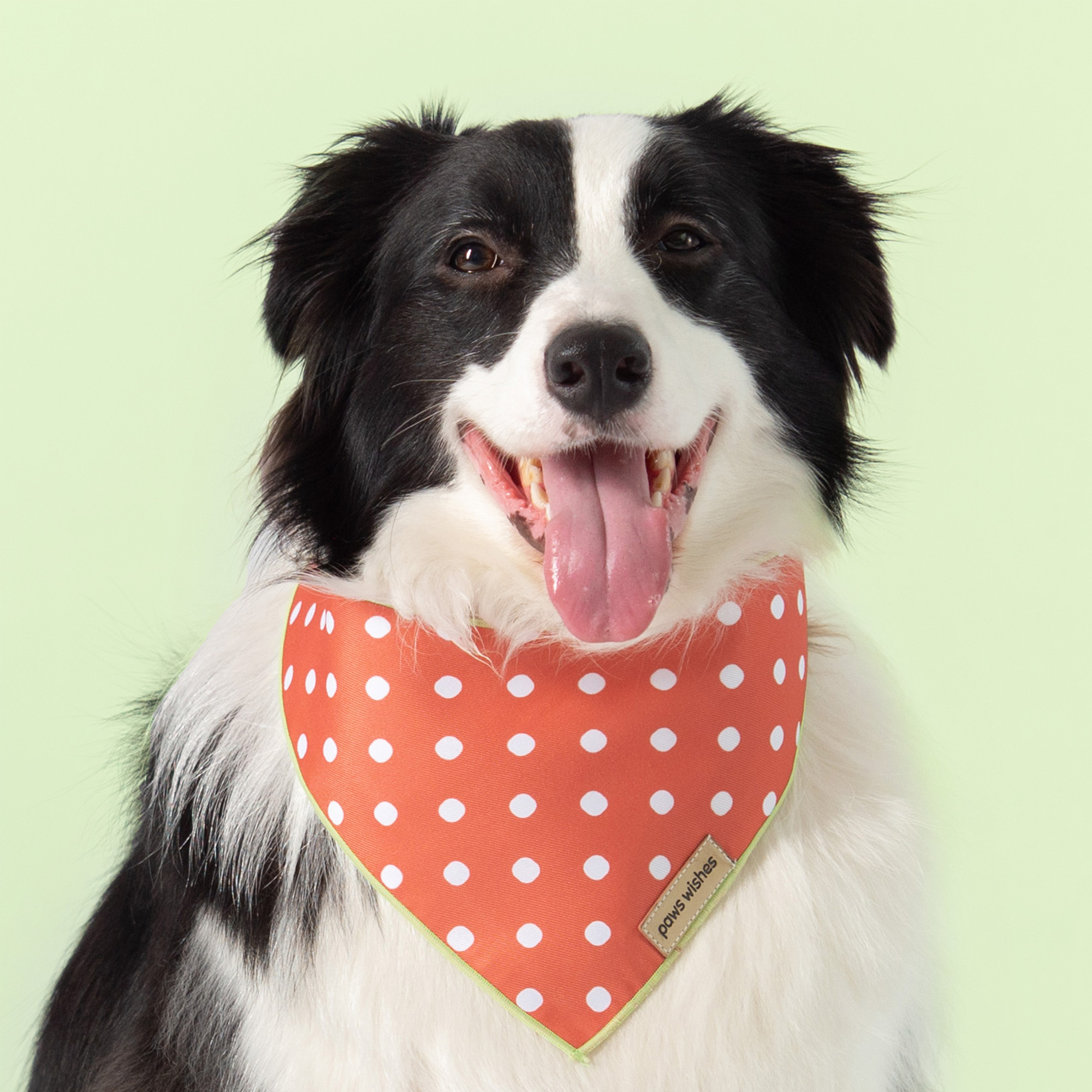 Dog Bandana White Red Dots