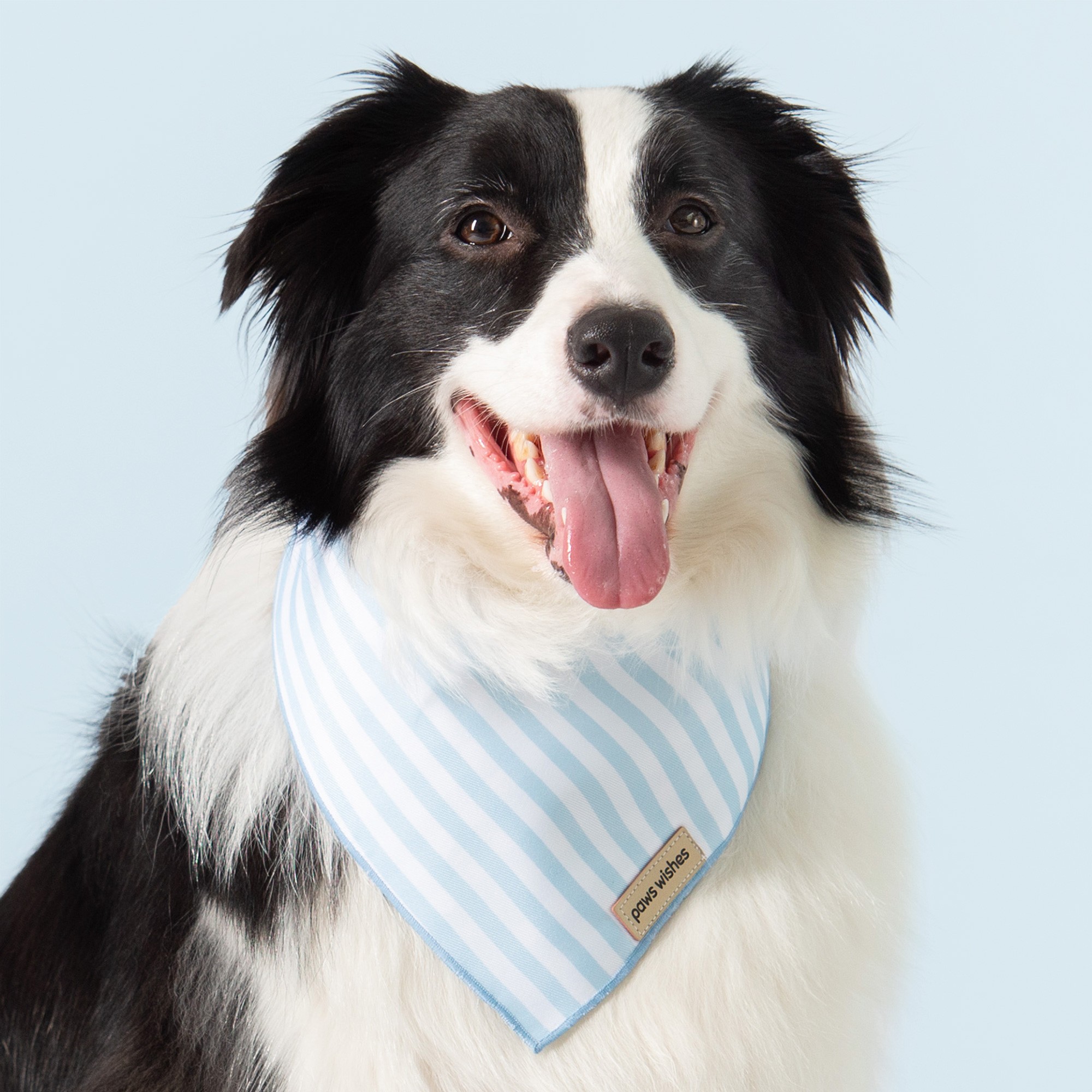 Dog Bandana Baby Blue Stripe