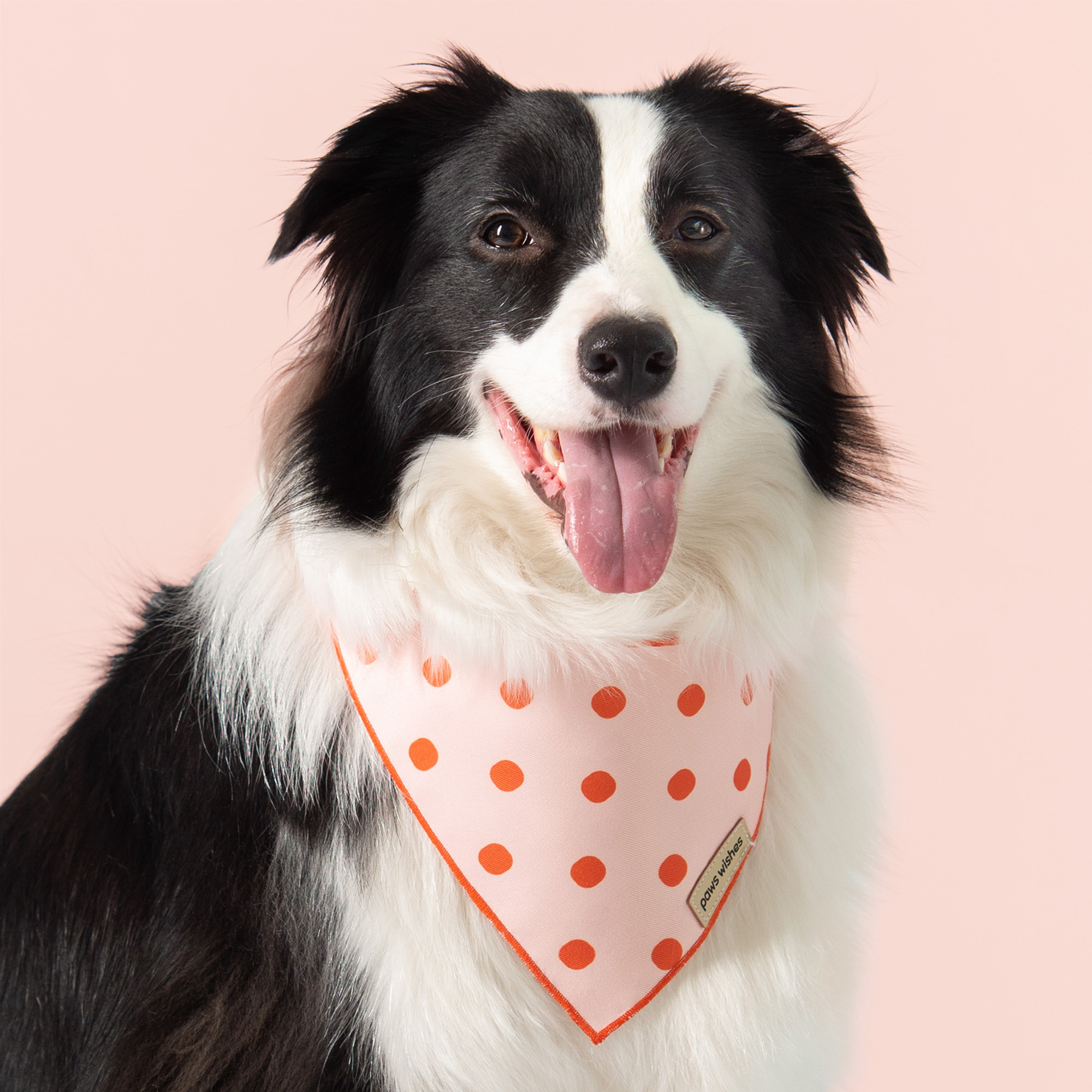 Dog Bandana Vintage Dots