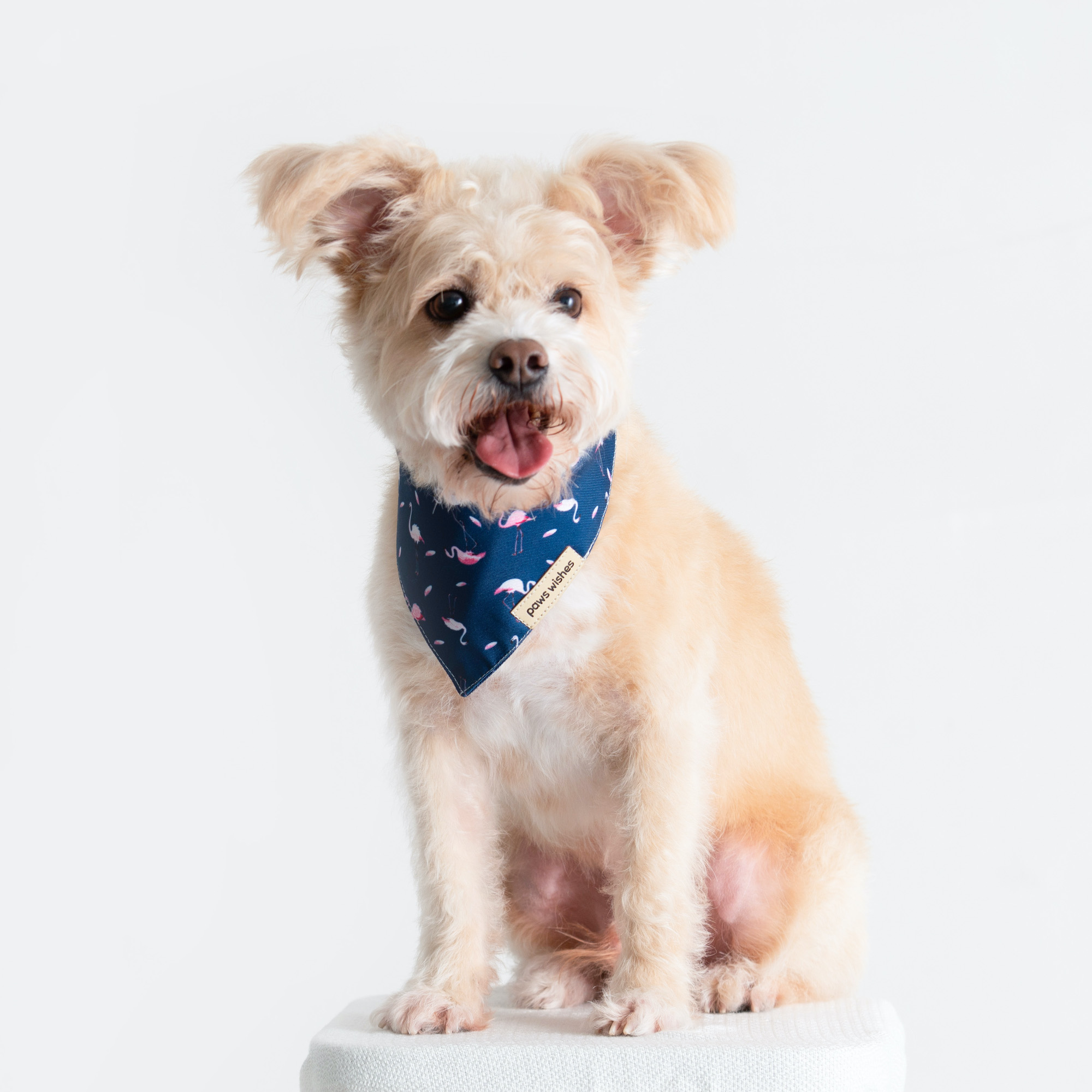 Dog Bandana Dancing Flamingo