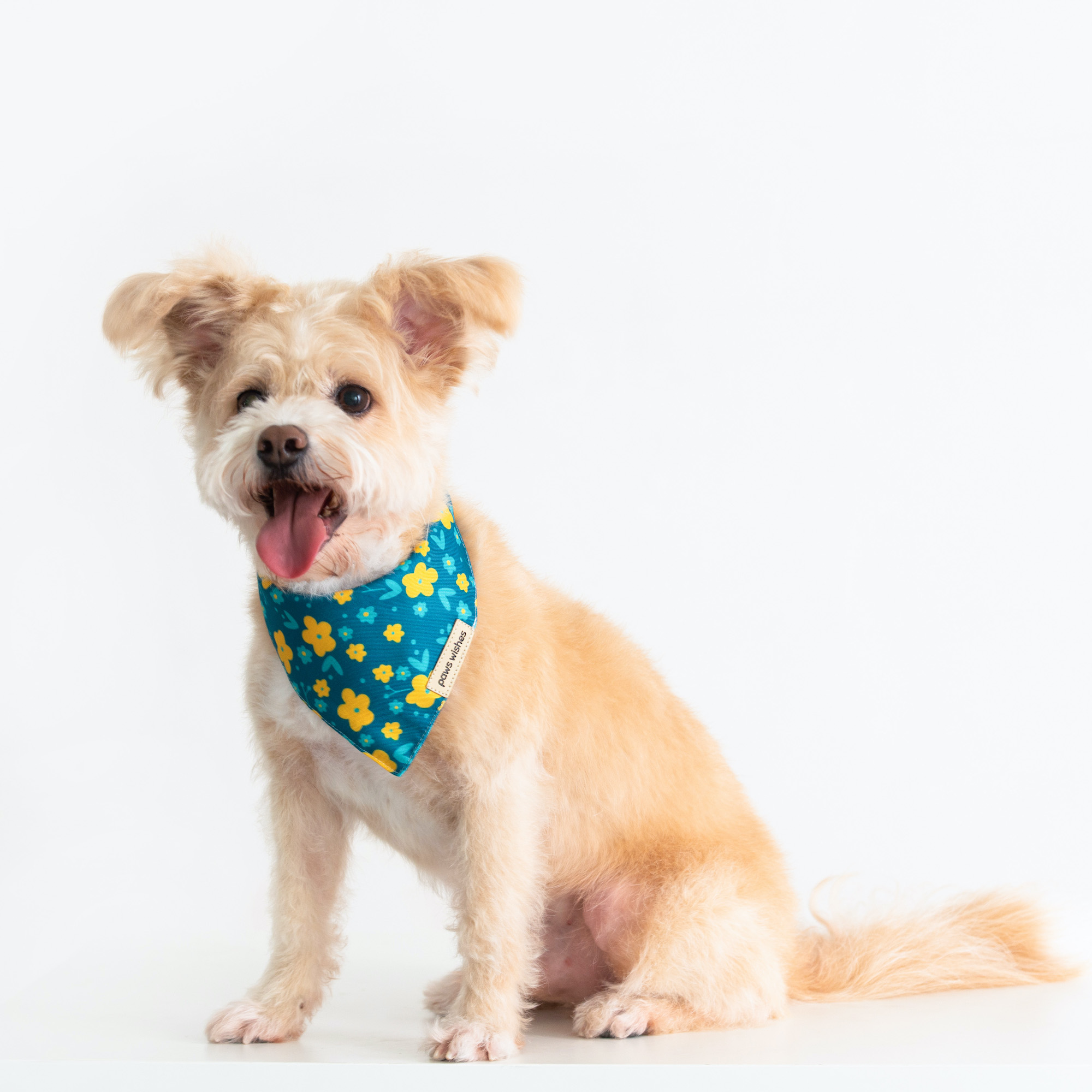 Dog Bandana Wildflower