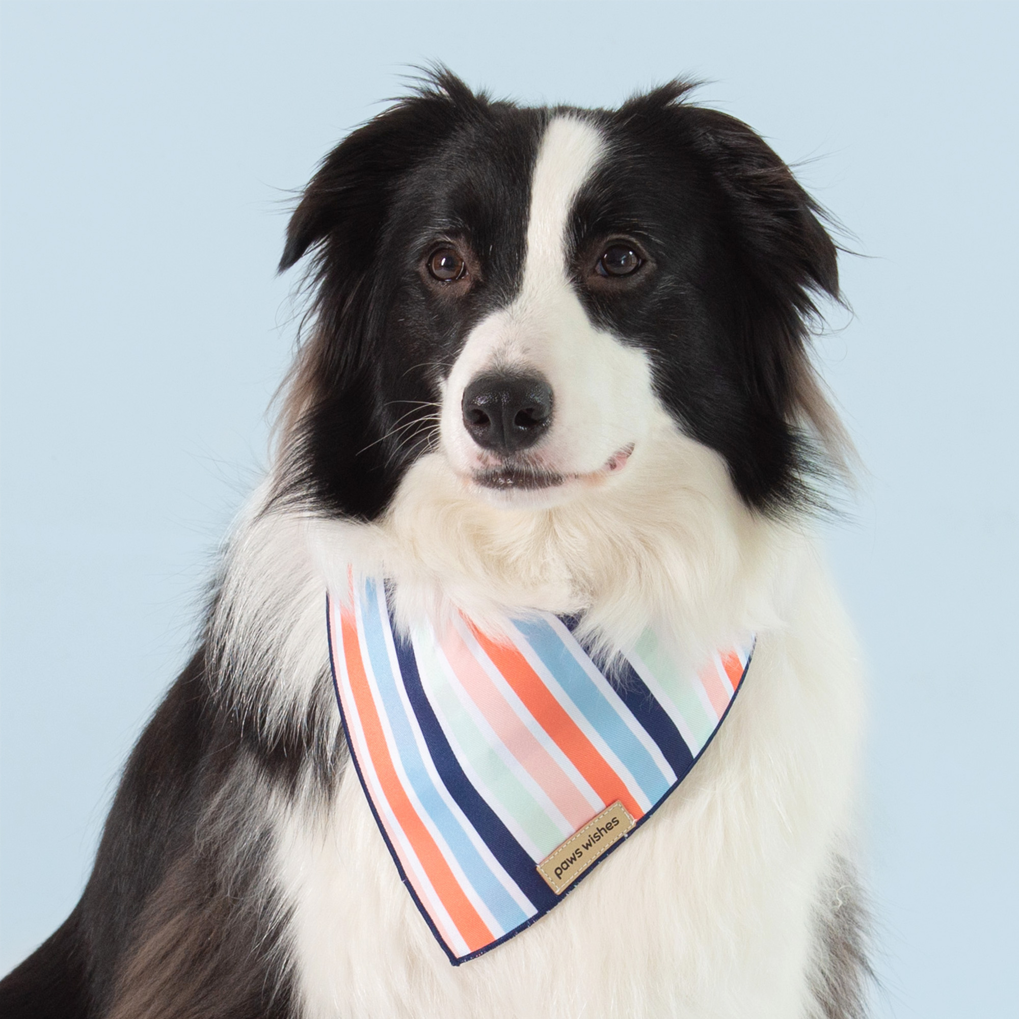 Dog Bandana Marshmallow Cart