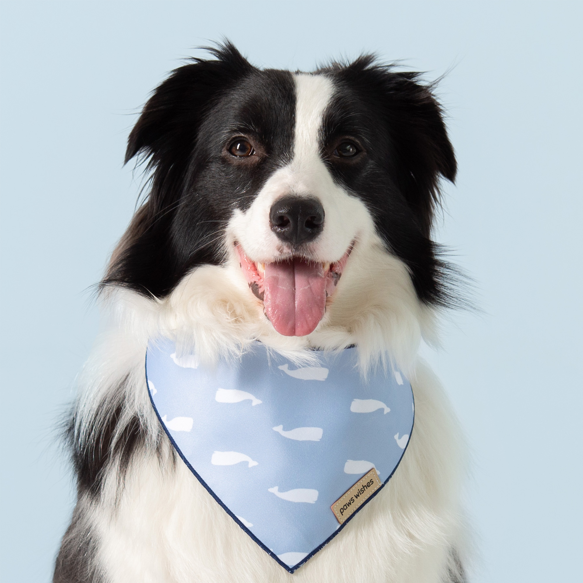 Dog Bandana Little Whale
