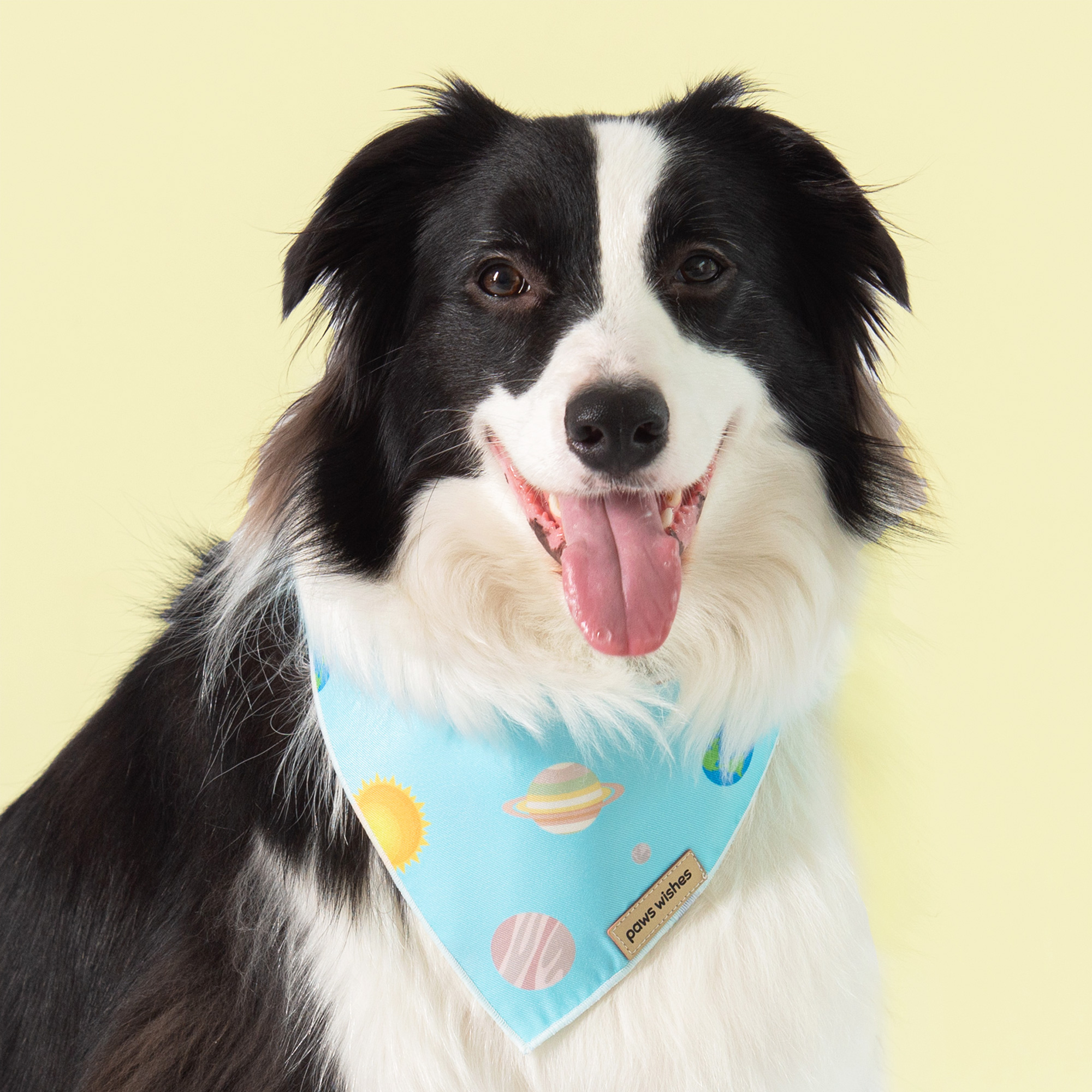 Dog Bandana Solar Planet