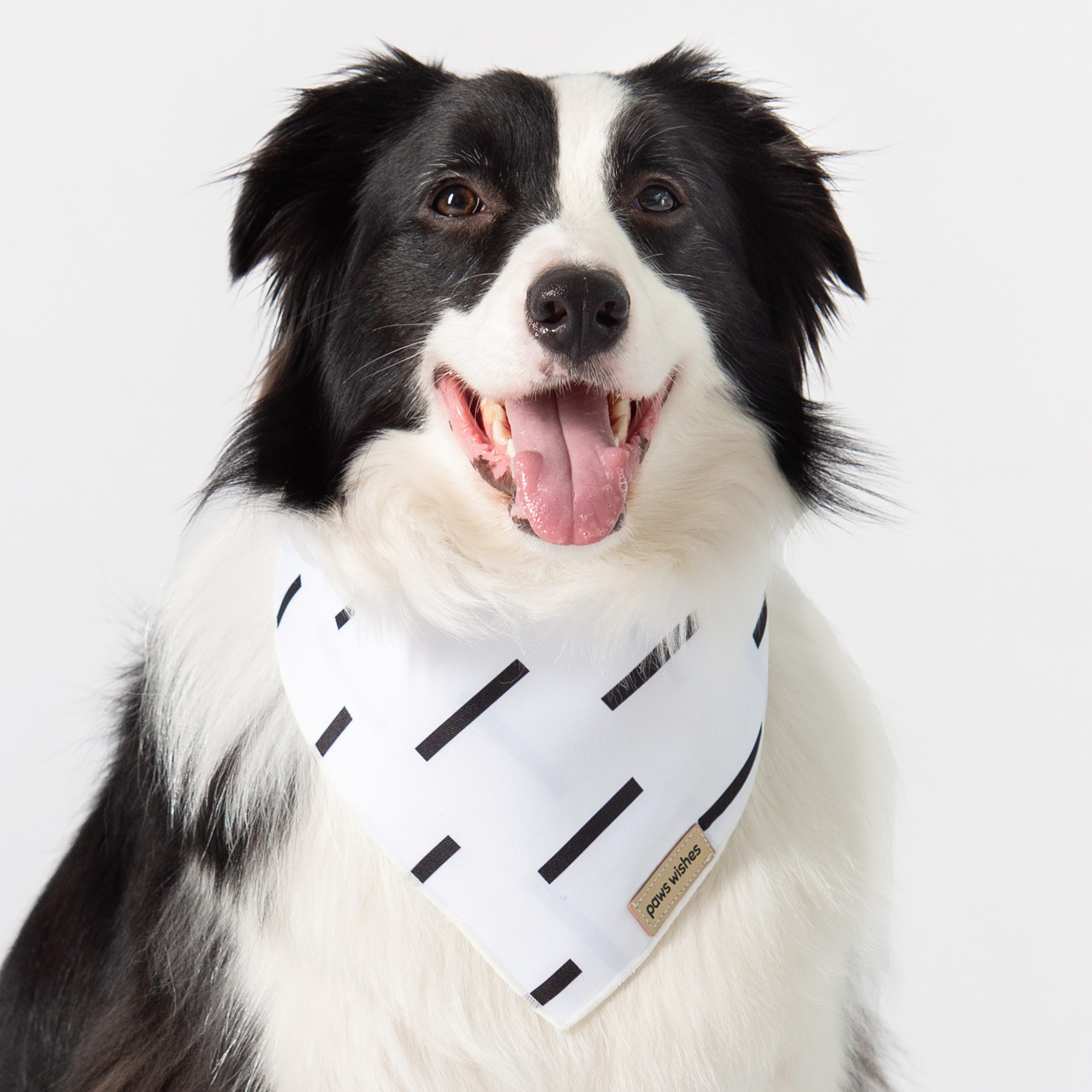 Dog Bandana African Mudcloth Modern Boho Dashes