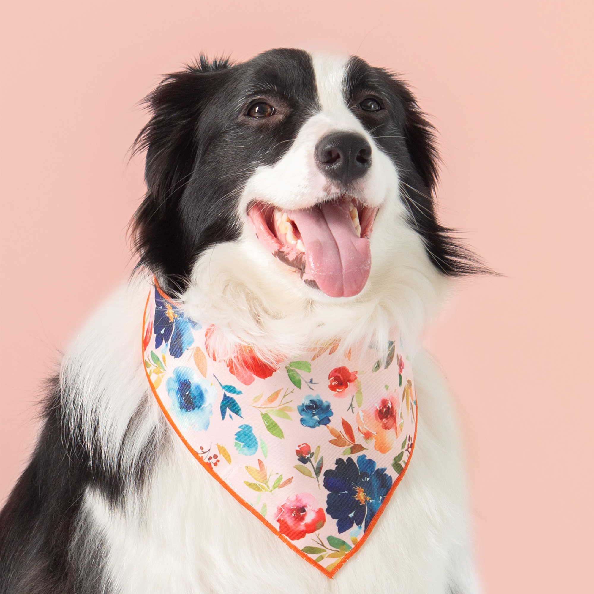 Dog Bandana Blossom in Coral
