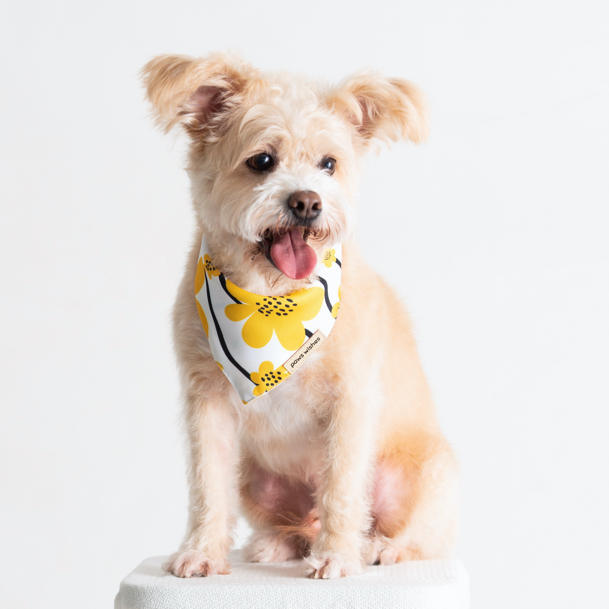 Dog Bandana Yellow Sunflower