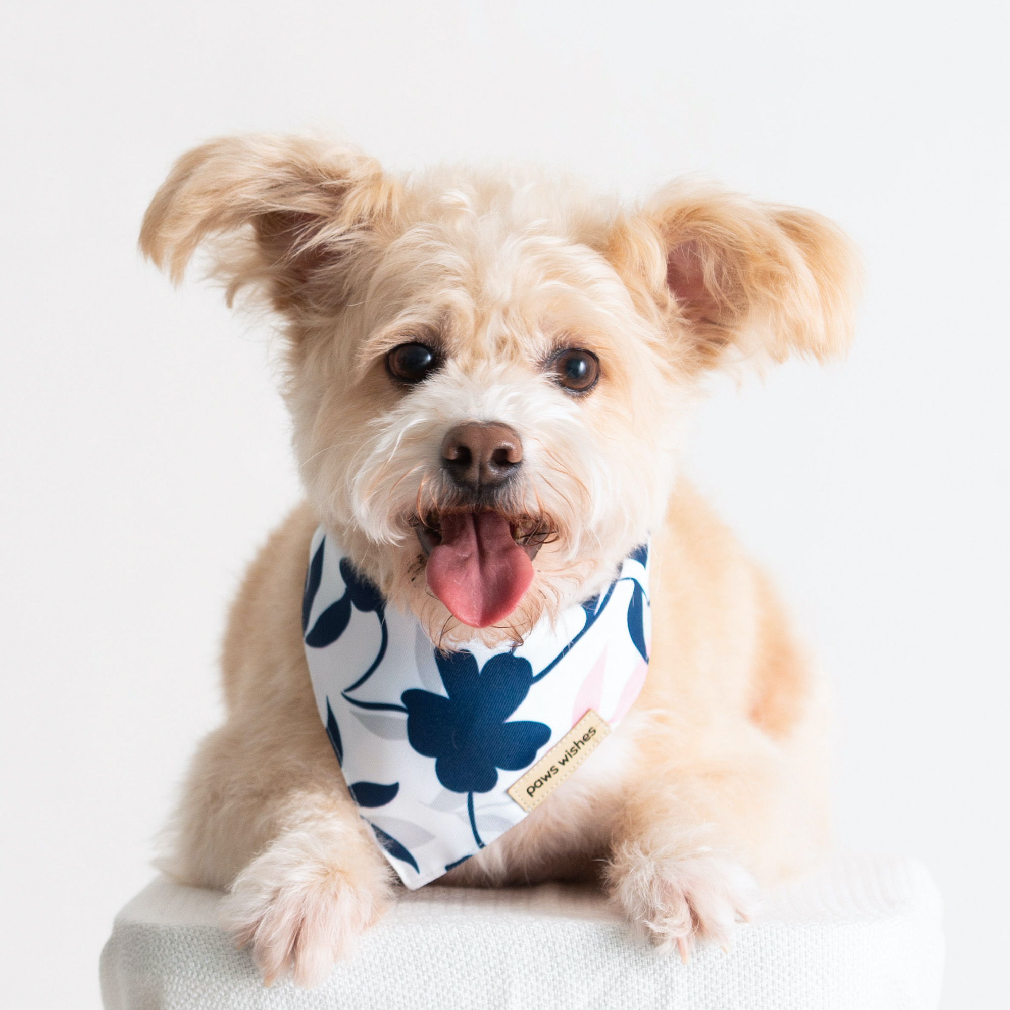 Dog Bandana Plum Blossom
