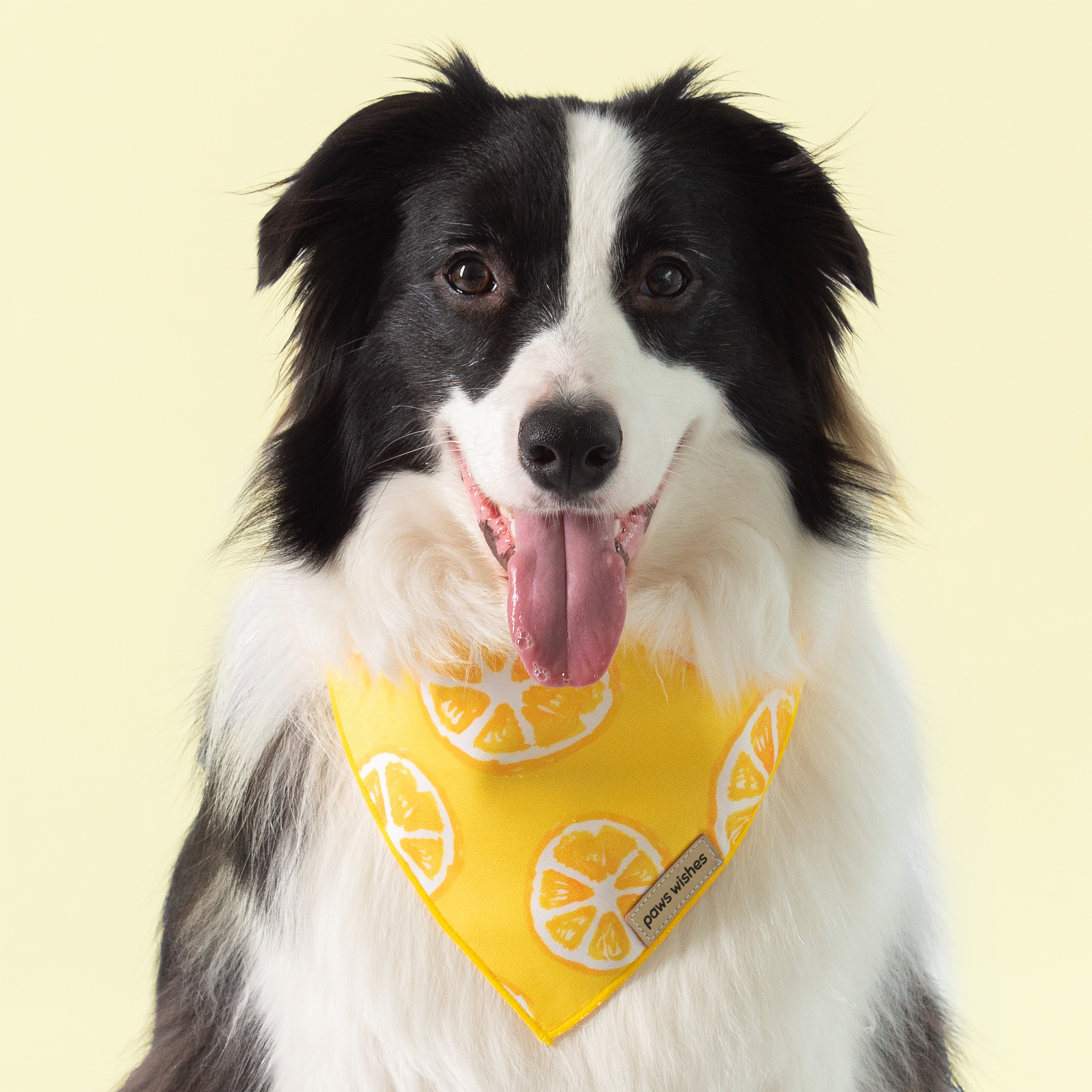 Dog Bandana Yellow Lemon Slice