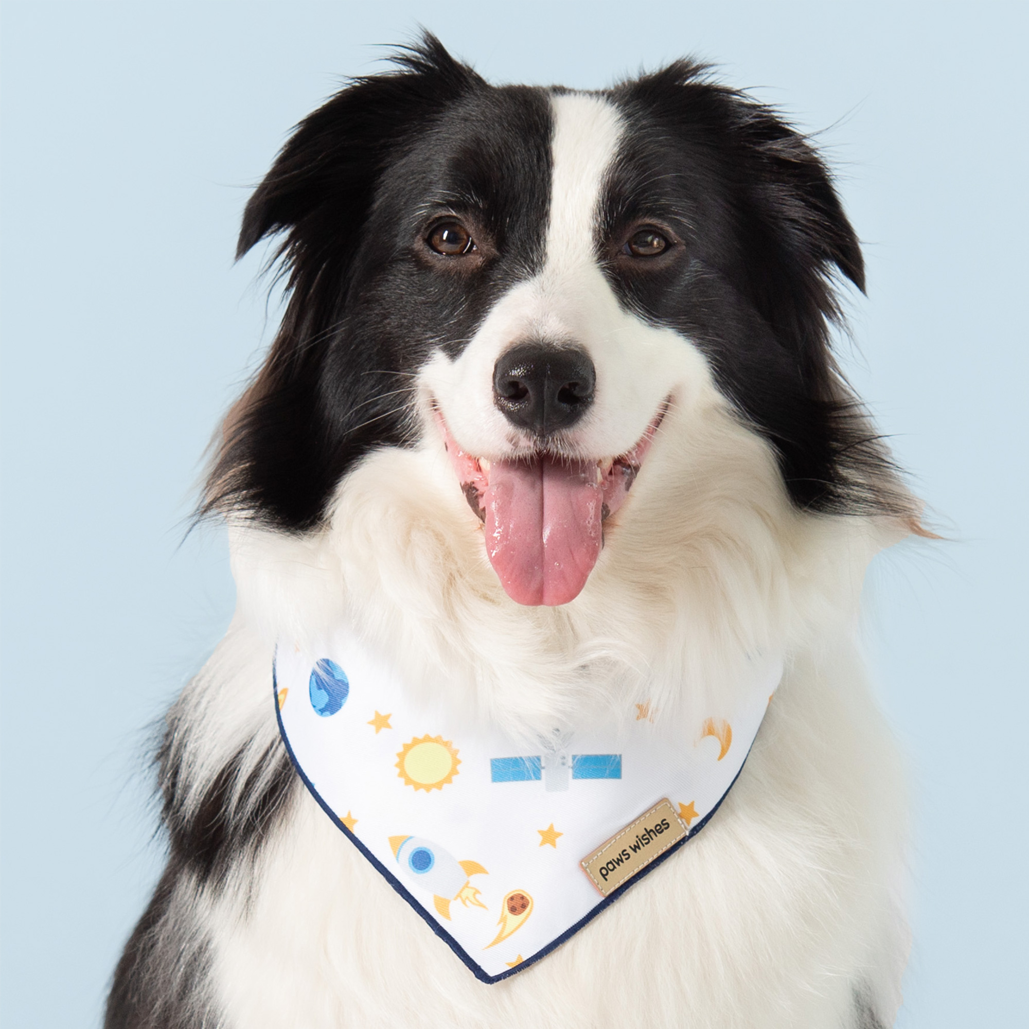 Dog Bandana Rocket and Satellite