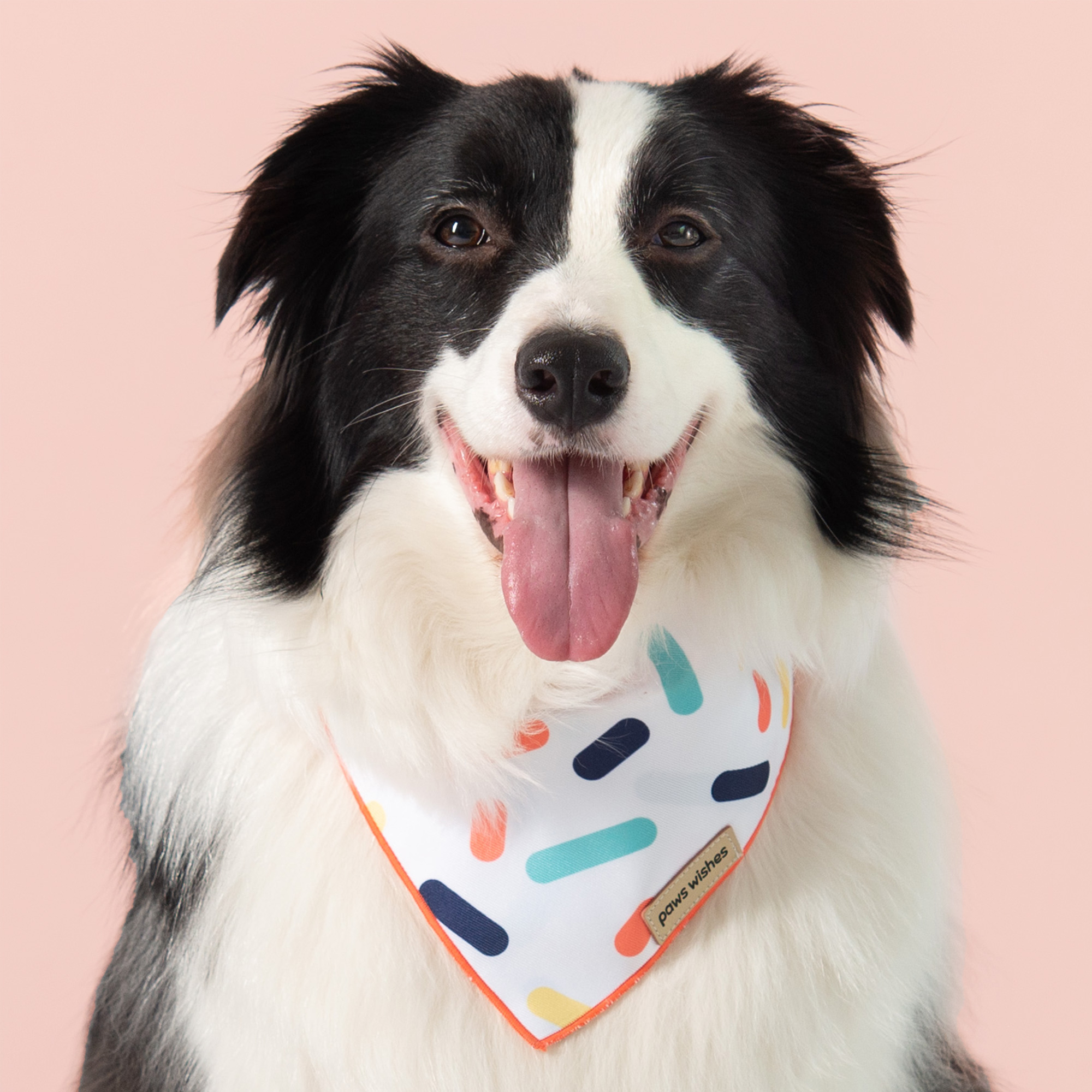 Dog Bandana Rainbow Sprinkles