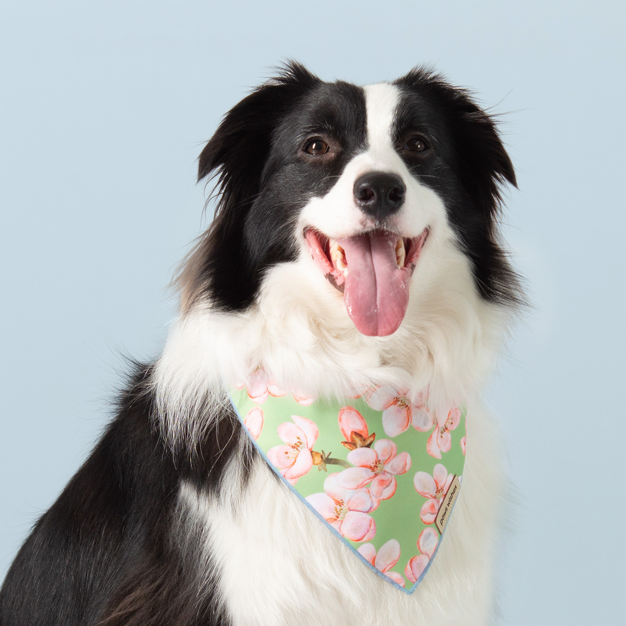 Dog Bandana Peach Blossom