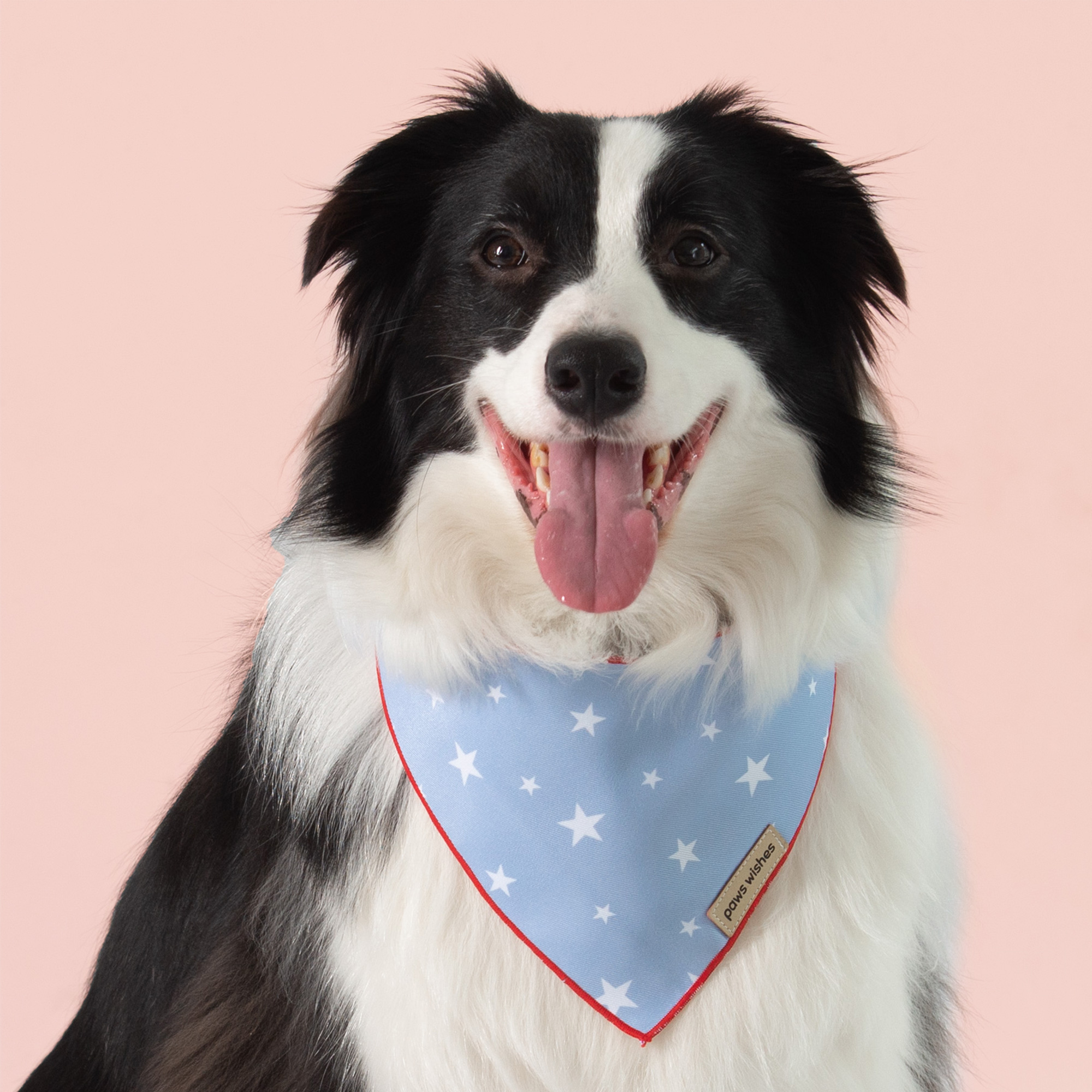 Dog Bandana Star in Blue Solid