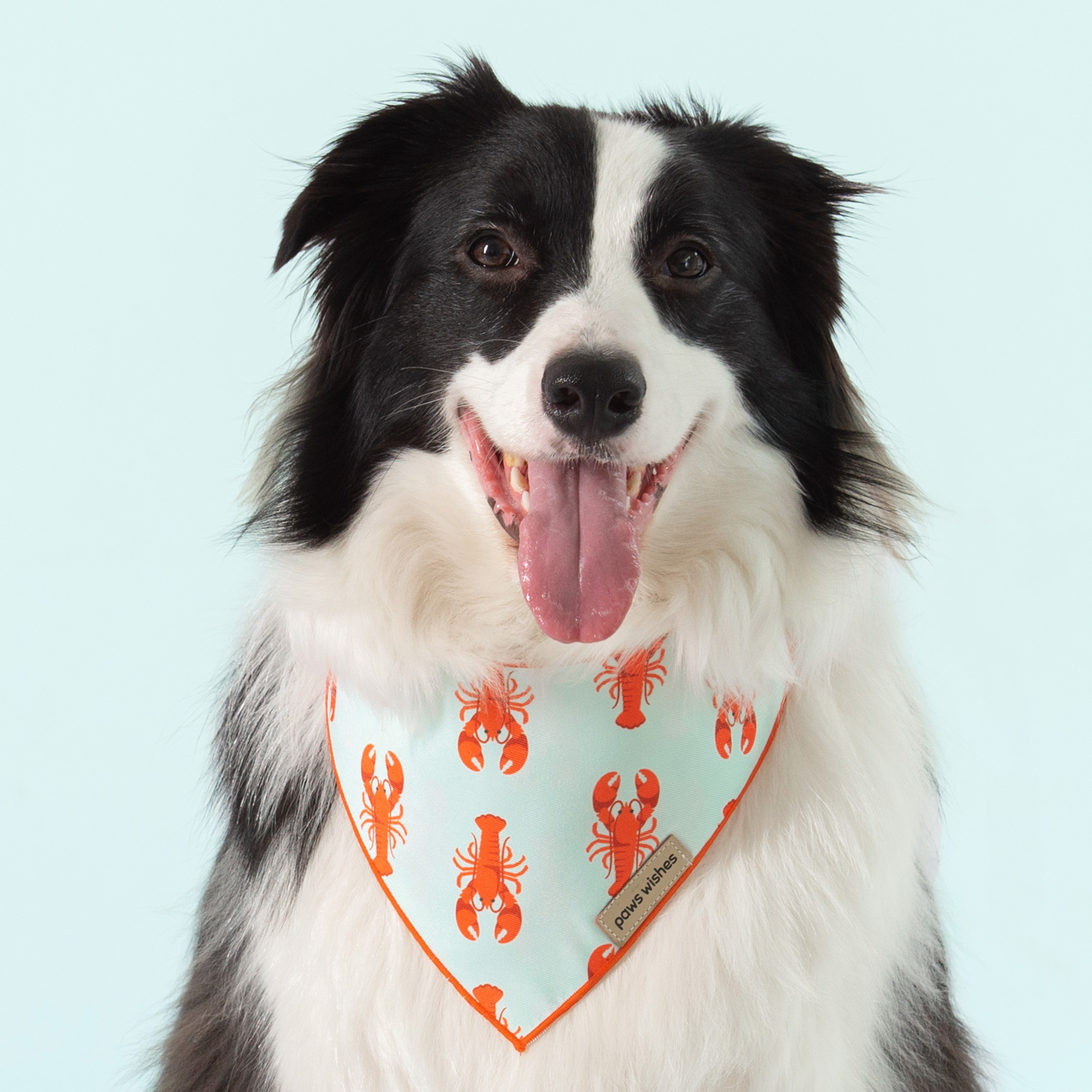 Lobster dog bandana clearance